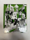Poison Ivy from Batman Animated SIGNED by Diane Pershing w COA