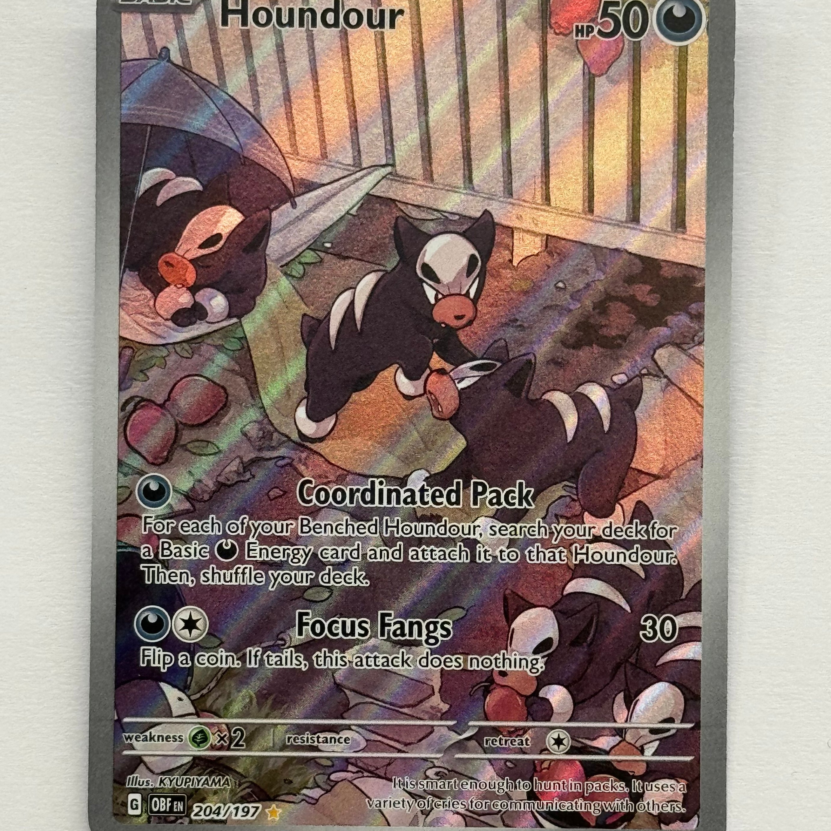 Pokémon TCG - Obsidian Flames Houndour 204/197 NM