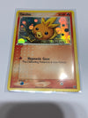 Pokémon TCG Torchic 69/106 Emerald Holo NM