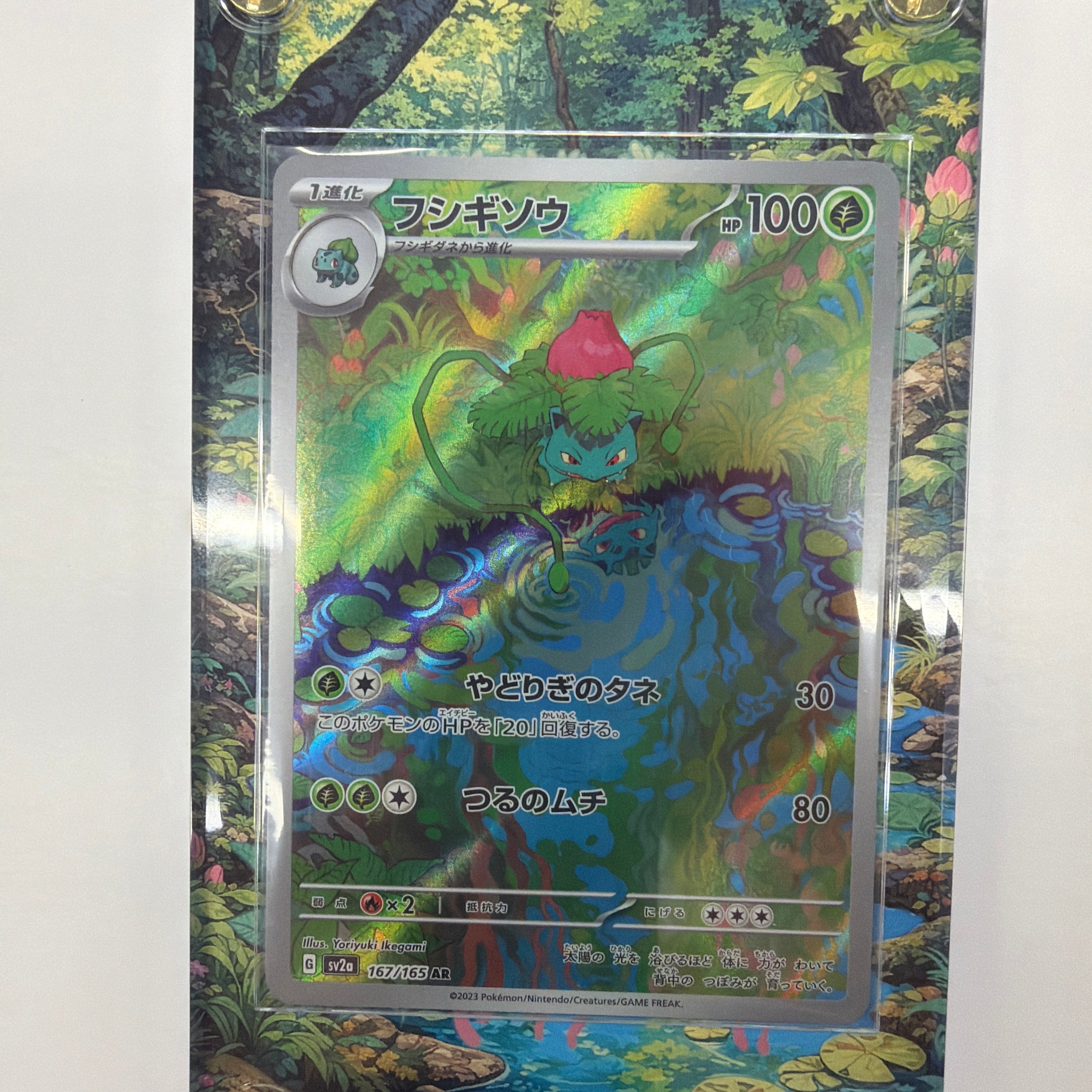 Pokémon TCG - sv2a Japanese 151 Ivysaur 167/165 NM W/Custom Display Case