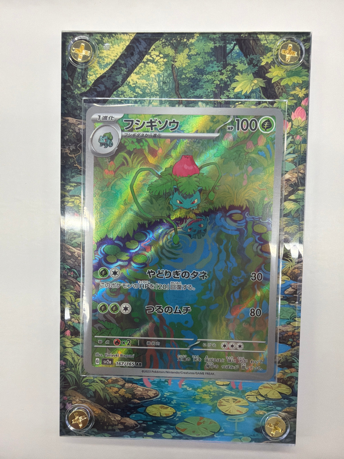 Pokémon TCG - sv2a Japanese 151 Ivysaur 167/165 NM W/Custom Display Case