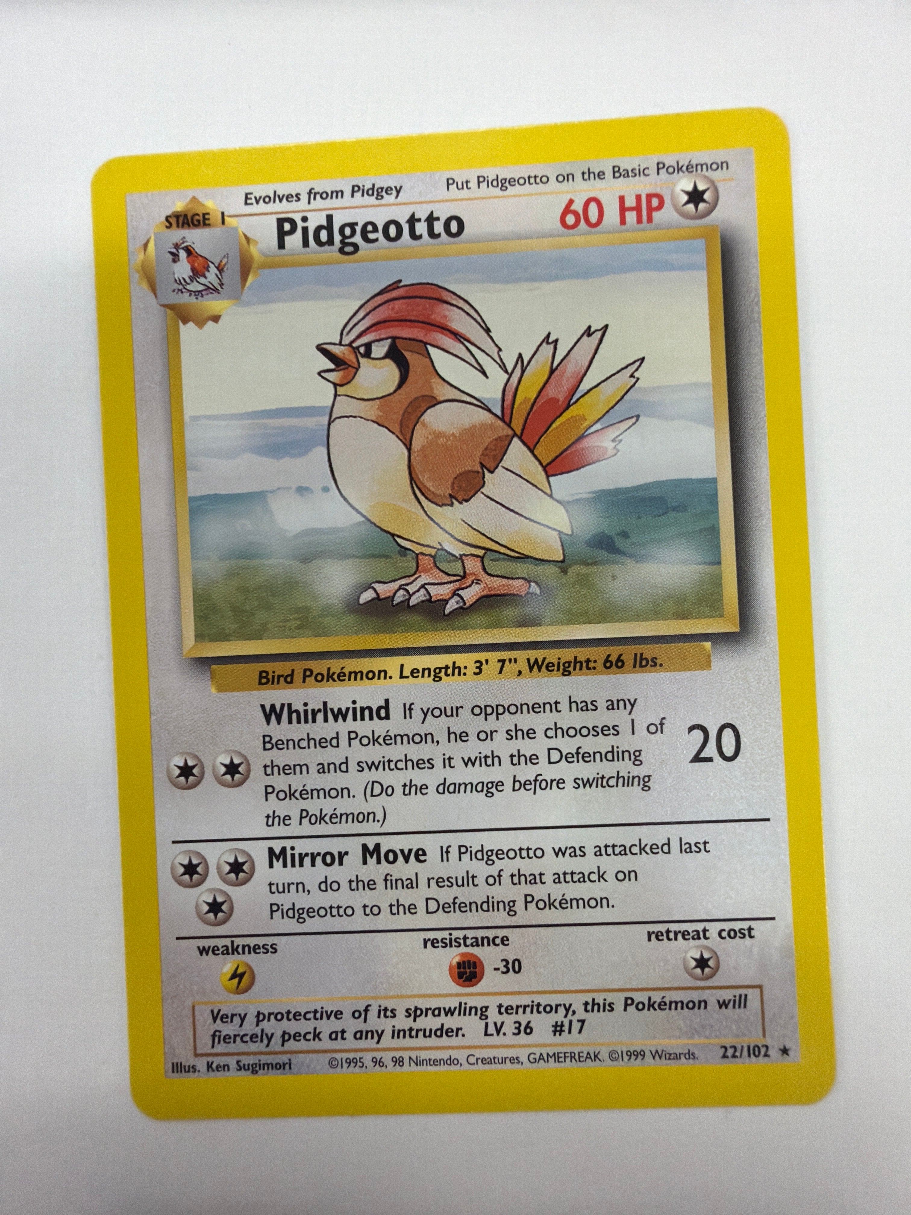 Pokémon TCG - Base Set Pidgeotto 22/102 Non-Holo NM