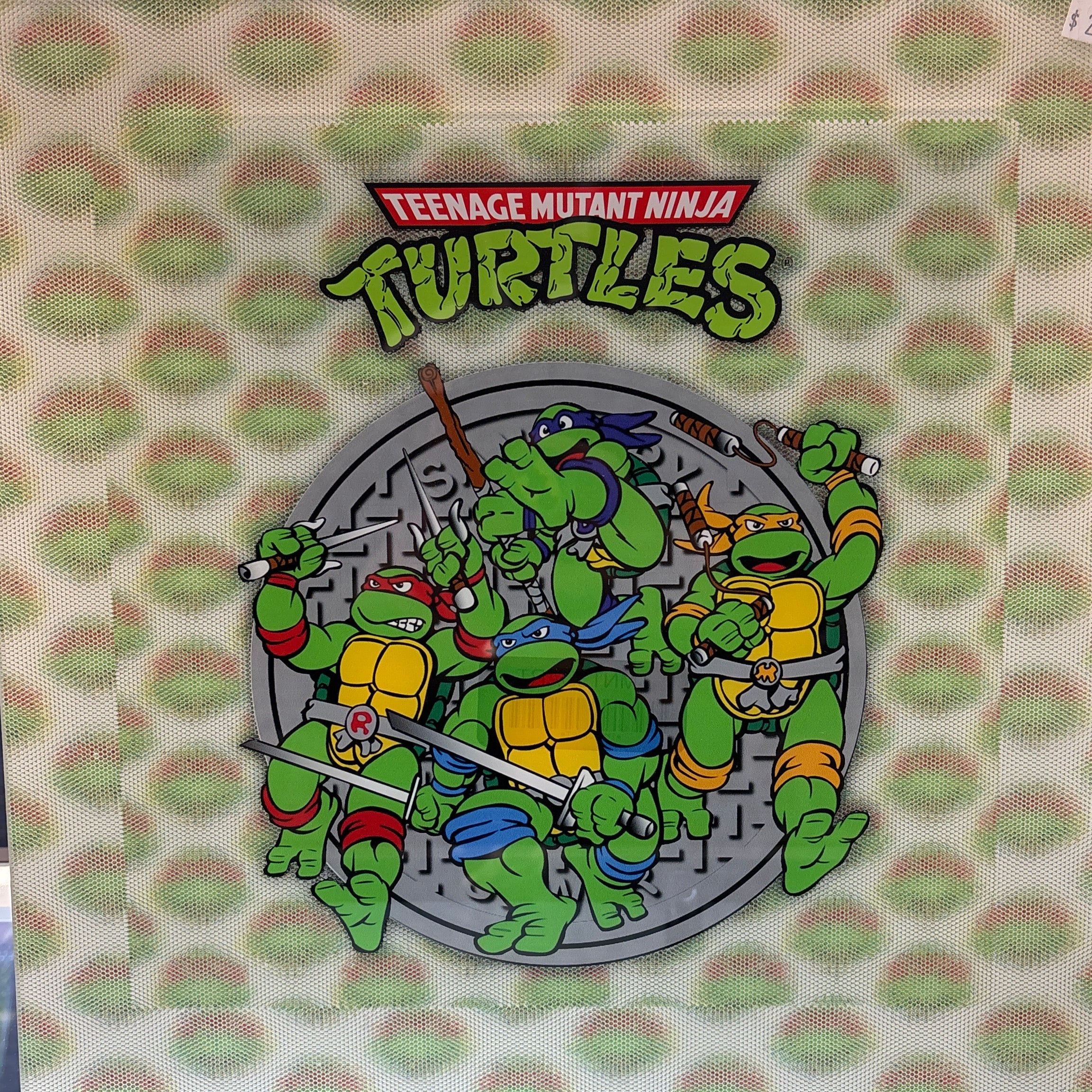 Teenage Mutant Ninja Turtles “Shadow Box” Wall Art
