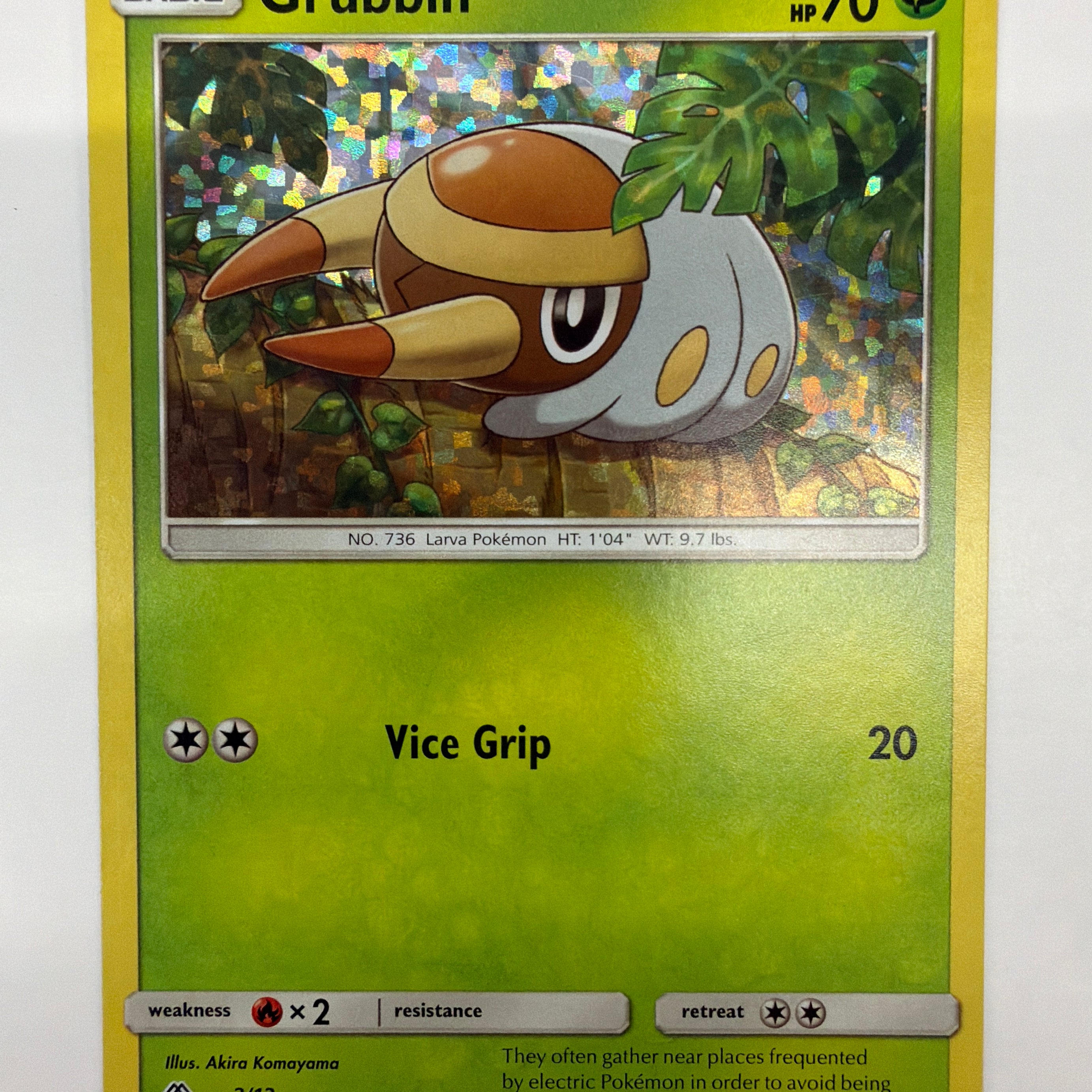 Pokémon TCG - 2017 McDonald's Promo Grubbin 2/12 Holo NM