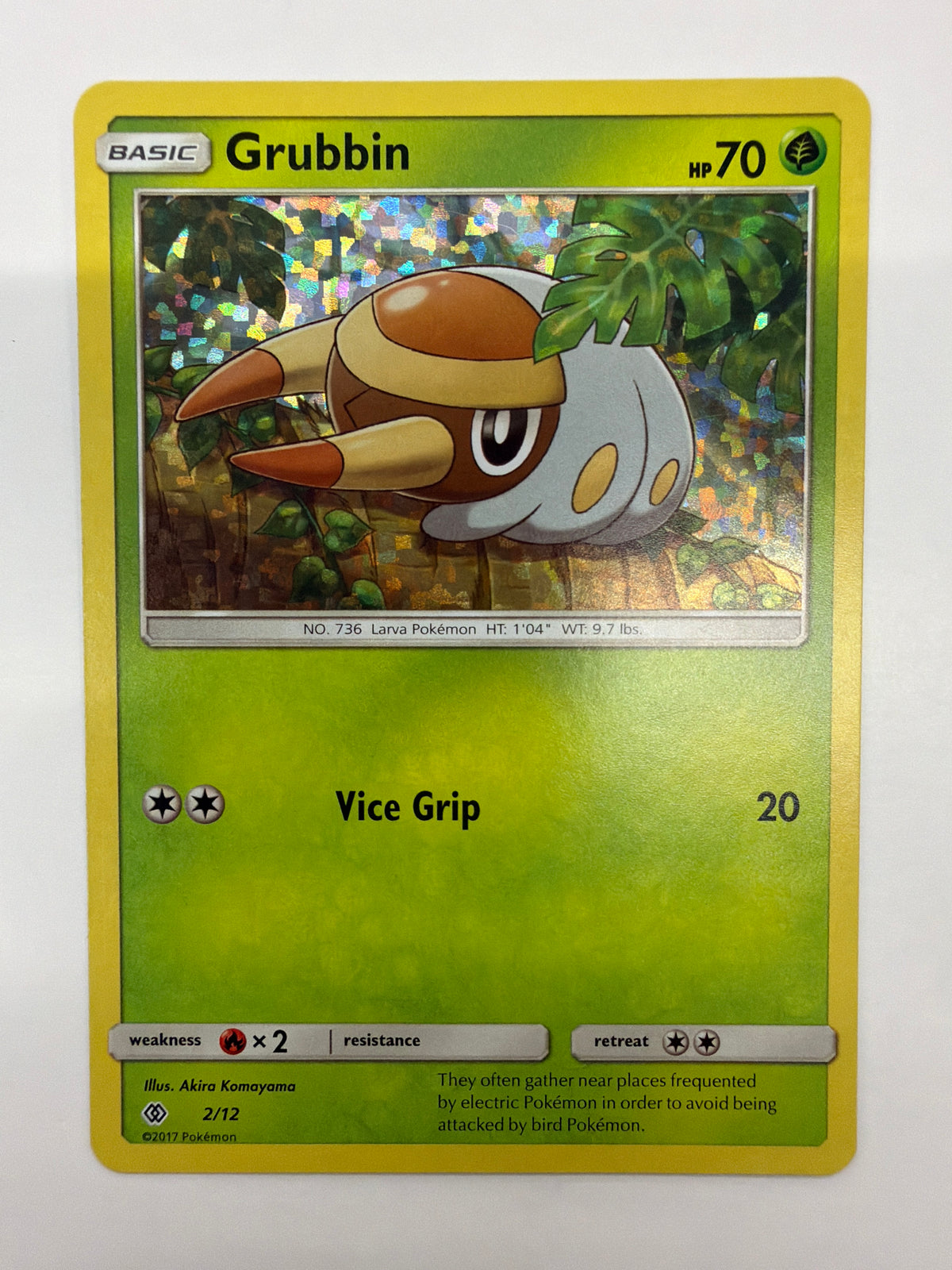 Pokémon TCG - 2017 McDonald's Promo Grubbin 2/12 Holo NM