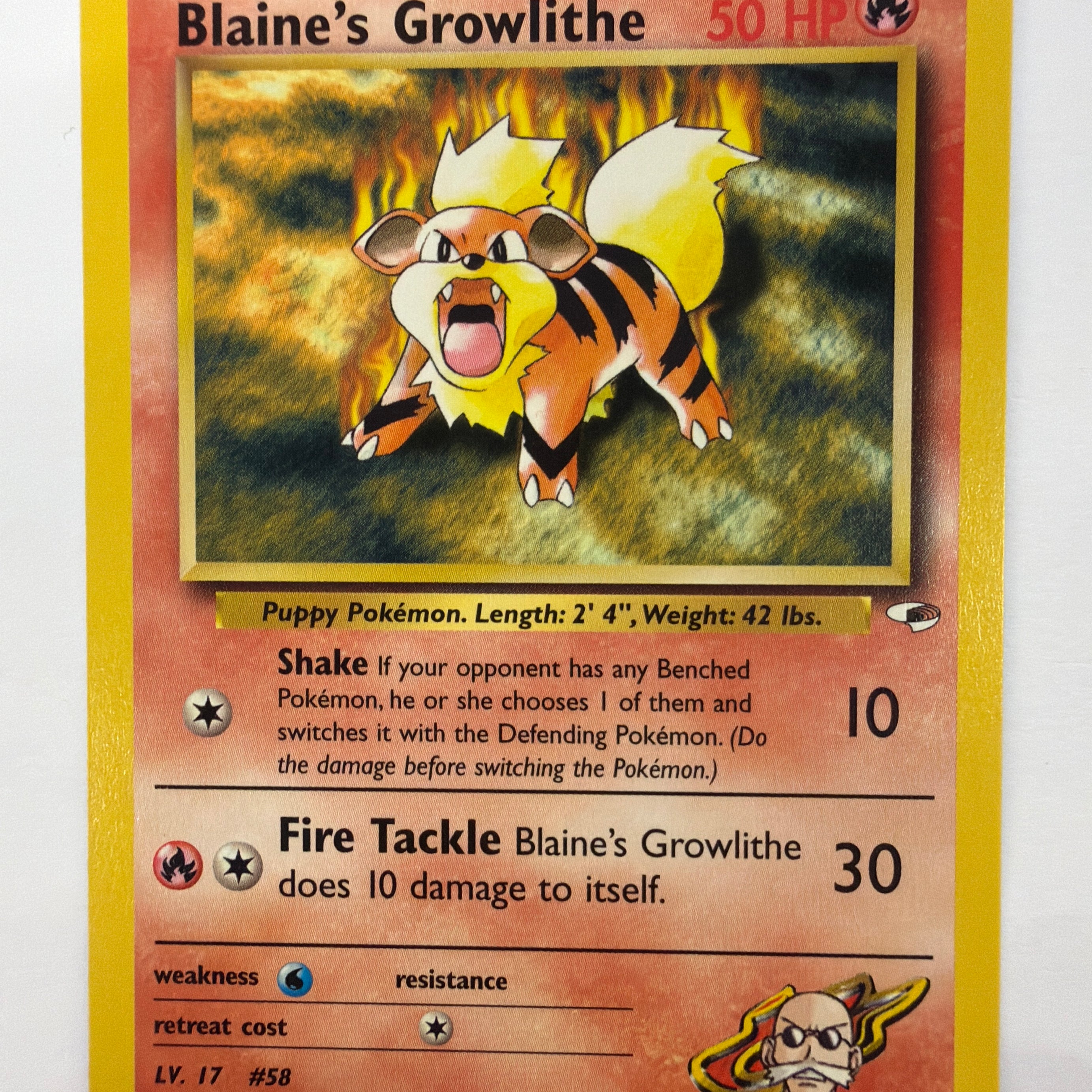 Pokémon TCG - Gym Heroes Unlimited Blaine's Growlithe 35/132 Non-Holo NM