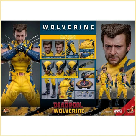 Hot Toys Movie Masterpiece Marvel Studios Deadpool Wolverine Wolverine Deluxe Version MMS754 1/6 Scale Collectible Action Figure