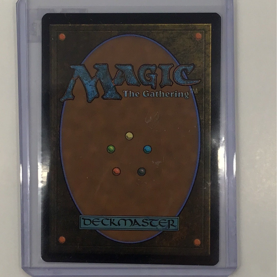 Magic the Gathering TCG - Final Fantasy Traveling Chocobo 210 NM