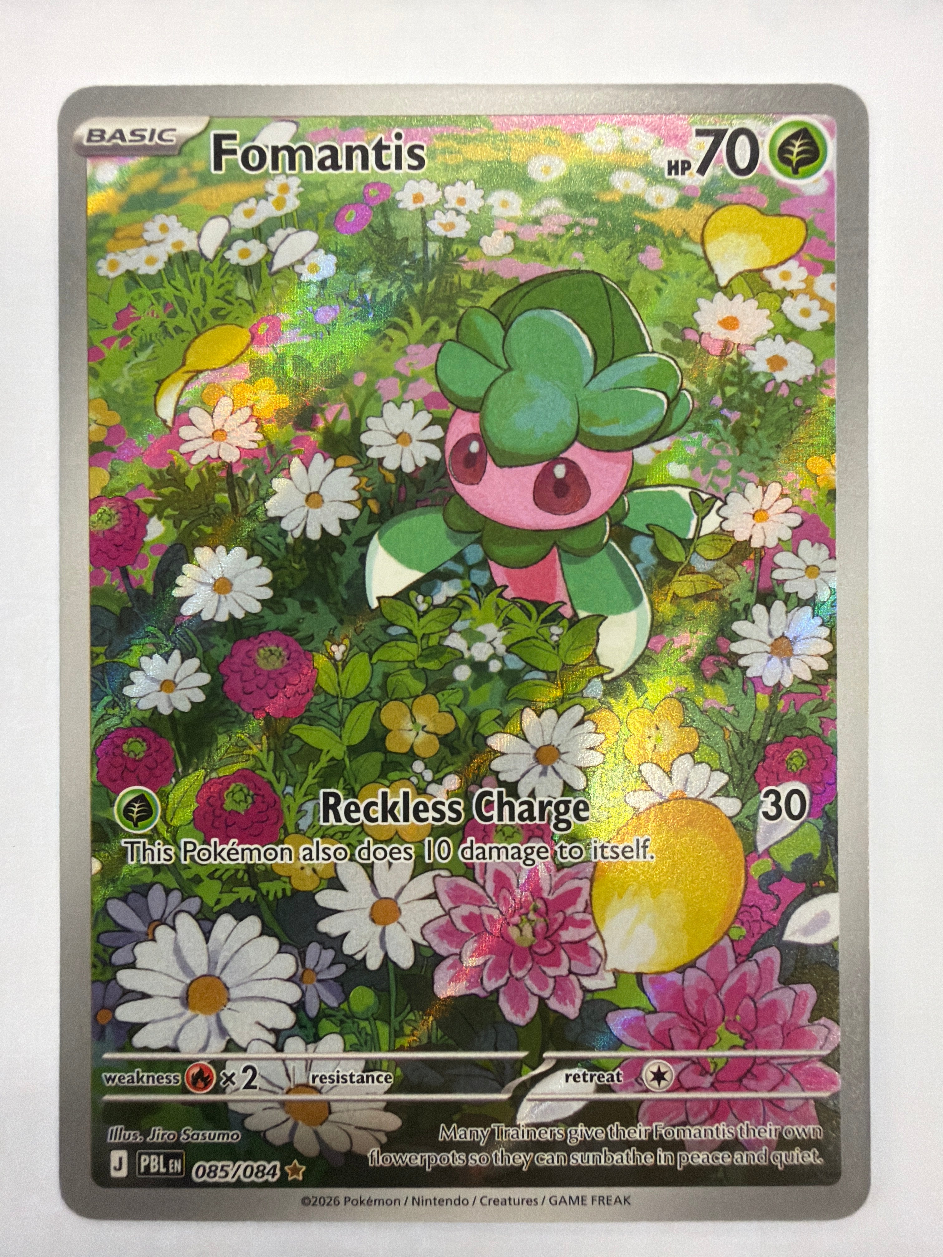 Pokémon TCG - Pitch Black Fomatis 085/084 NM