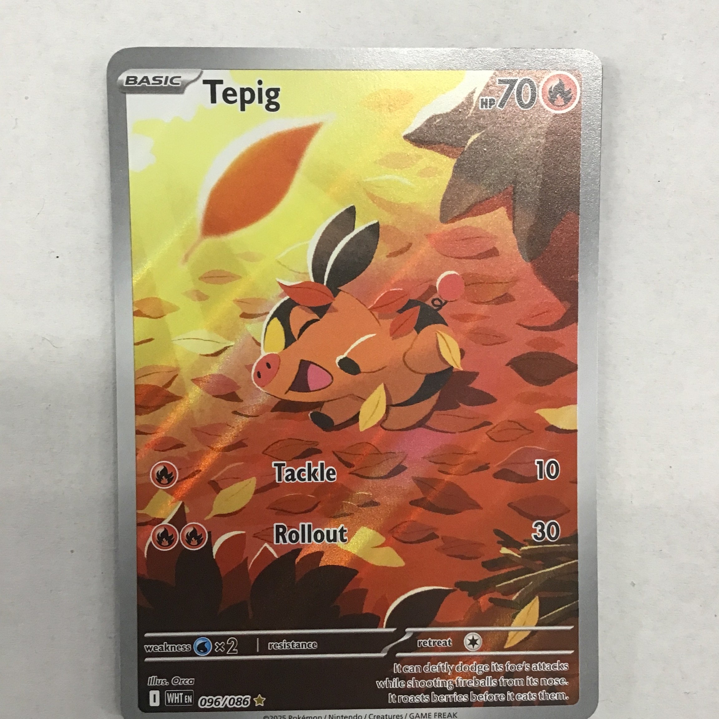 Pokémon TCG - White Flare Tepig 96/86 NM