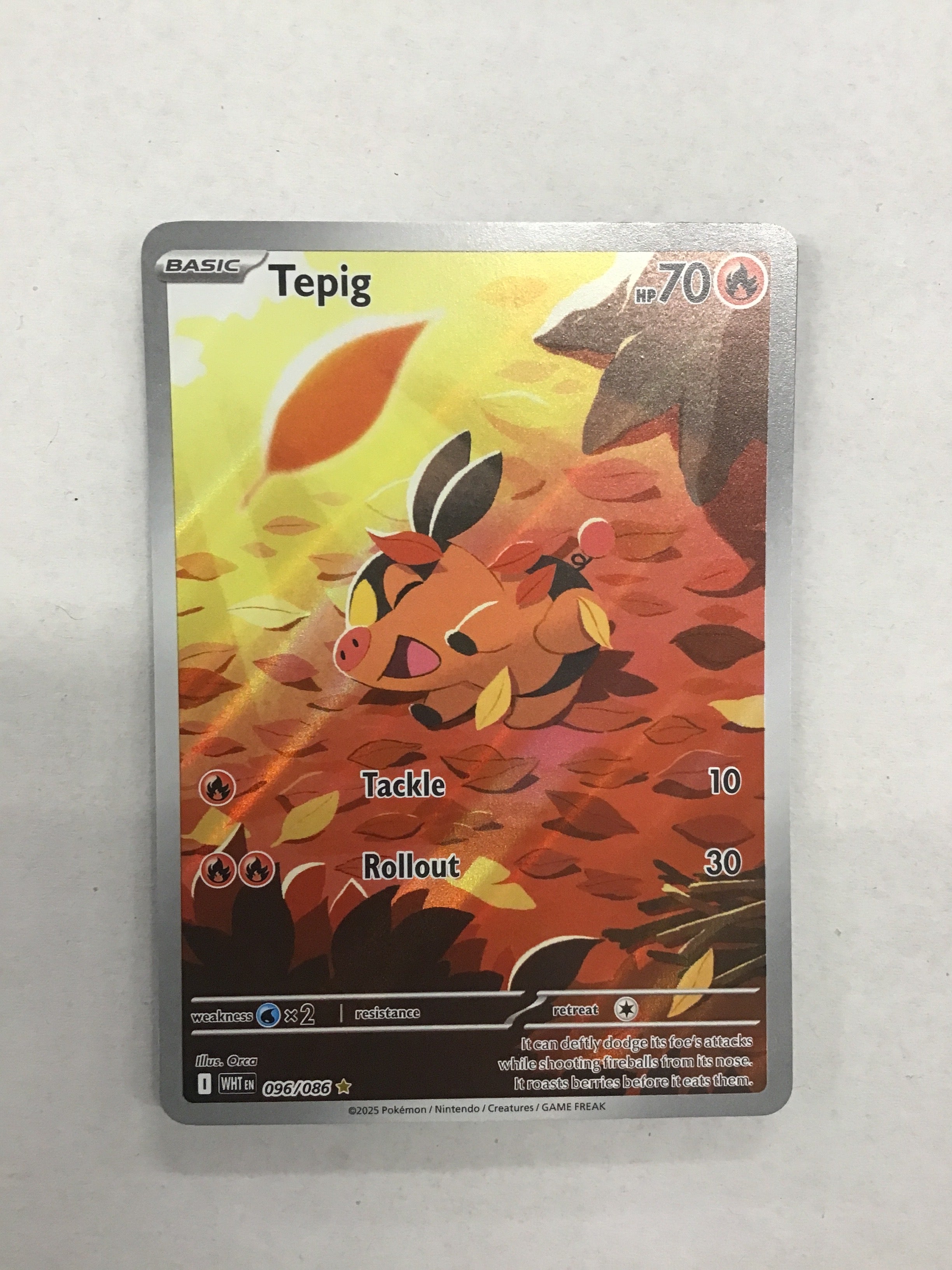 Pokémon TCG - White Flare Tepig 96/86 NM