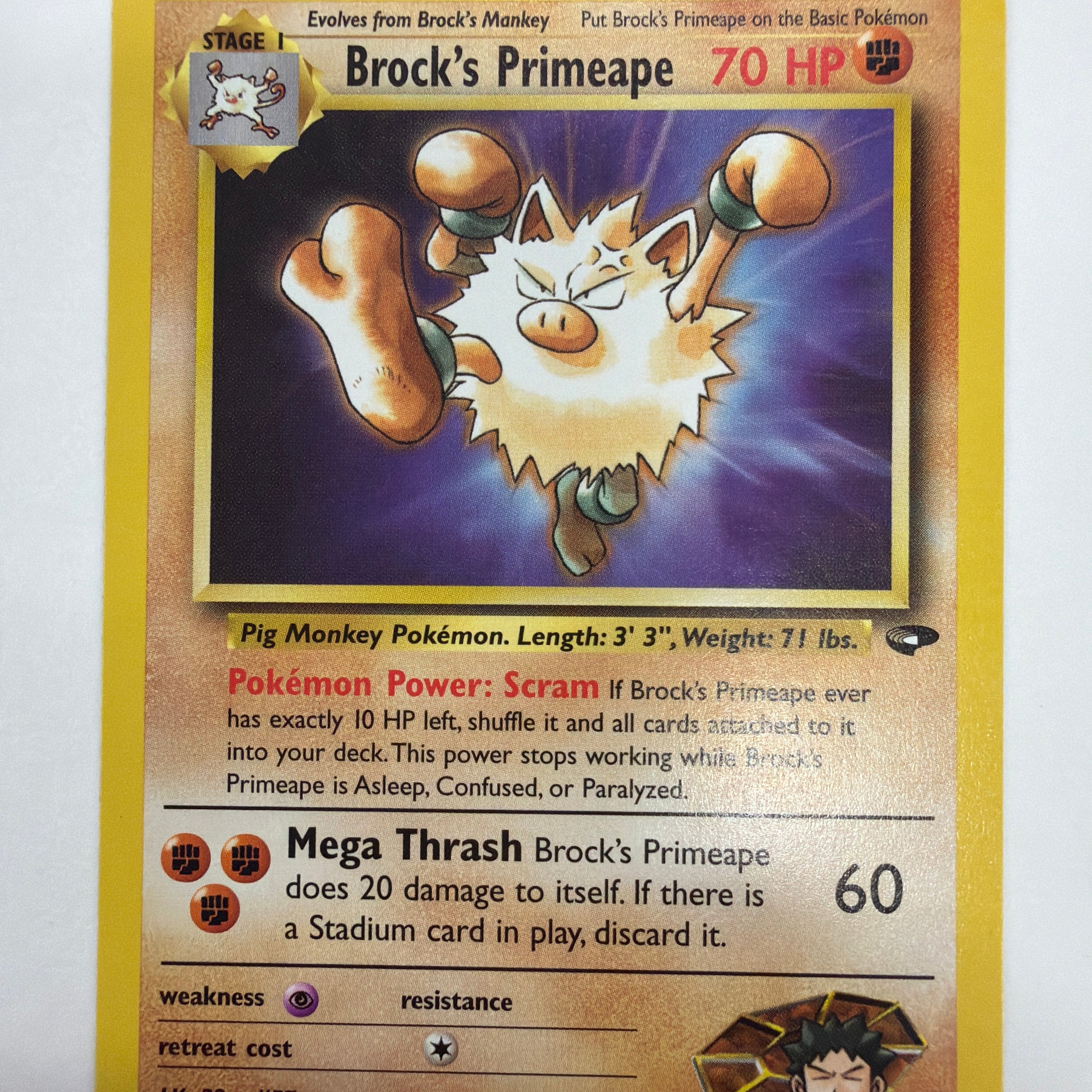 Pokémon TCG - Gym Challenge Unlimited Brock's Primeape 35/132 Non-Holo NM