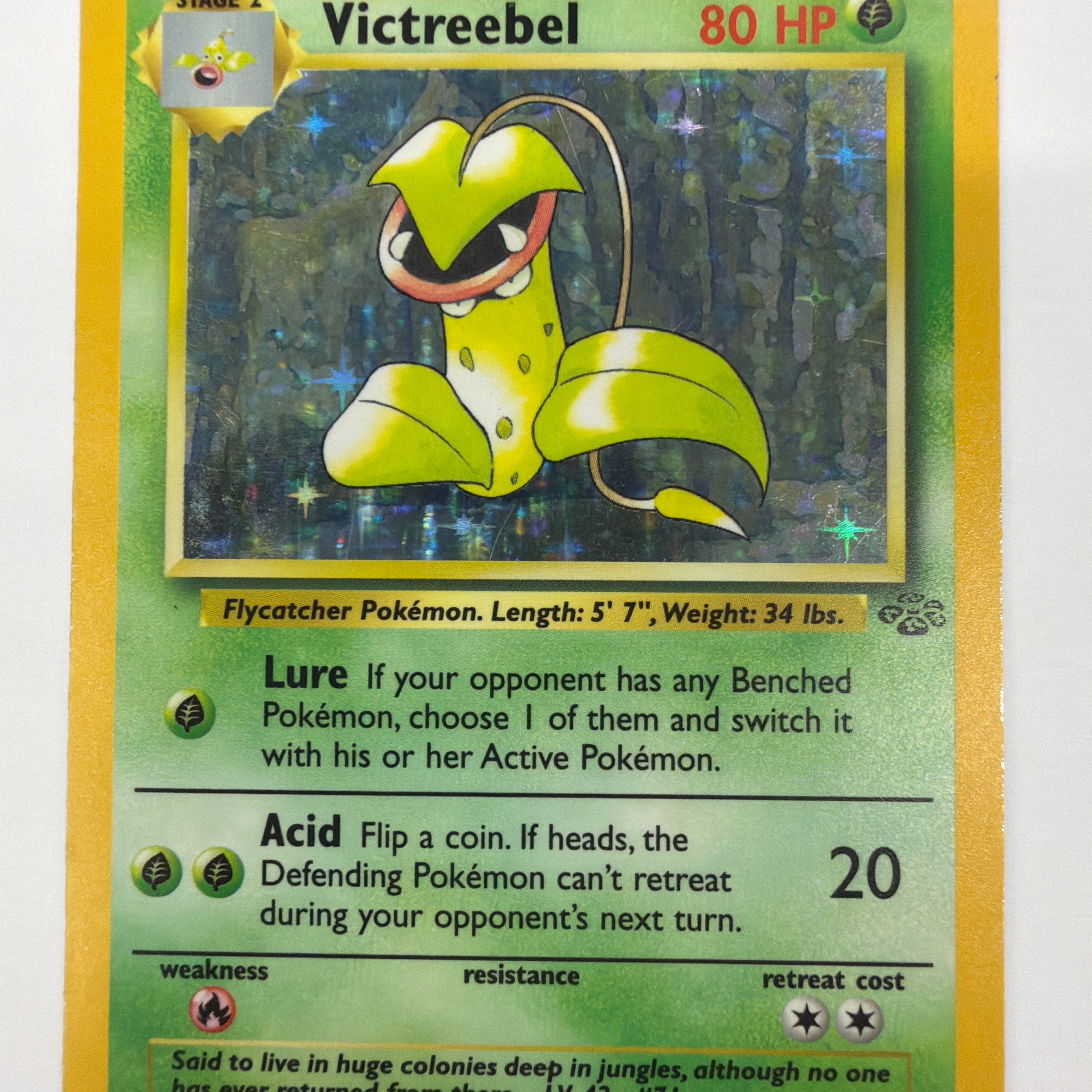 Pokémon TCG - Jungle Unlimited Victreebel 14/64 Holo MP