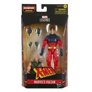 Hasbro Marvel Legends Series X-Men Marvels Vulcan Action Figure
