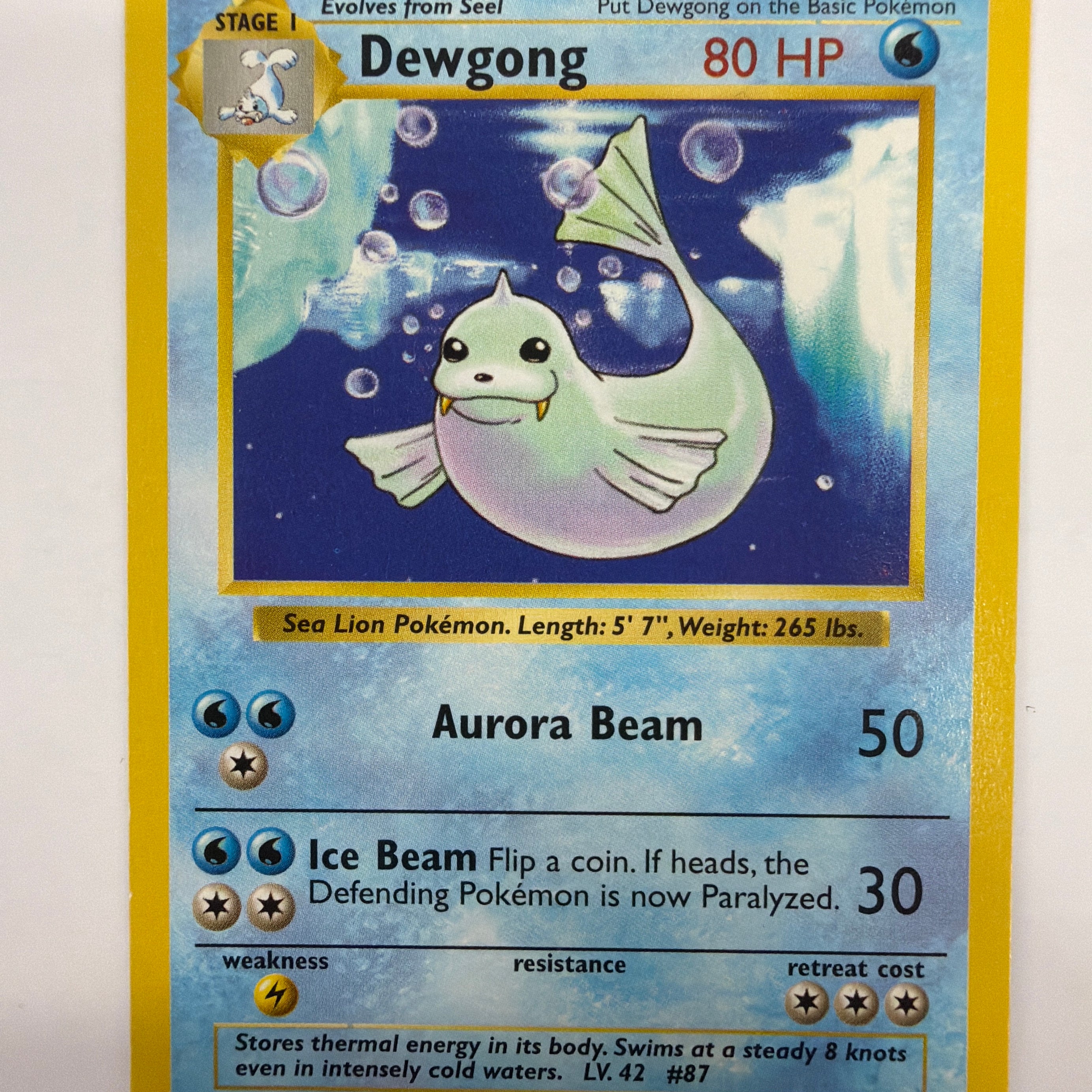Pokémon TCG - Base Set Unlimited Shadowless Dewgong 25/102 LP