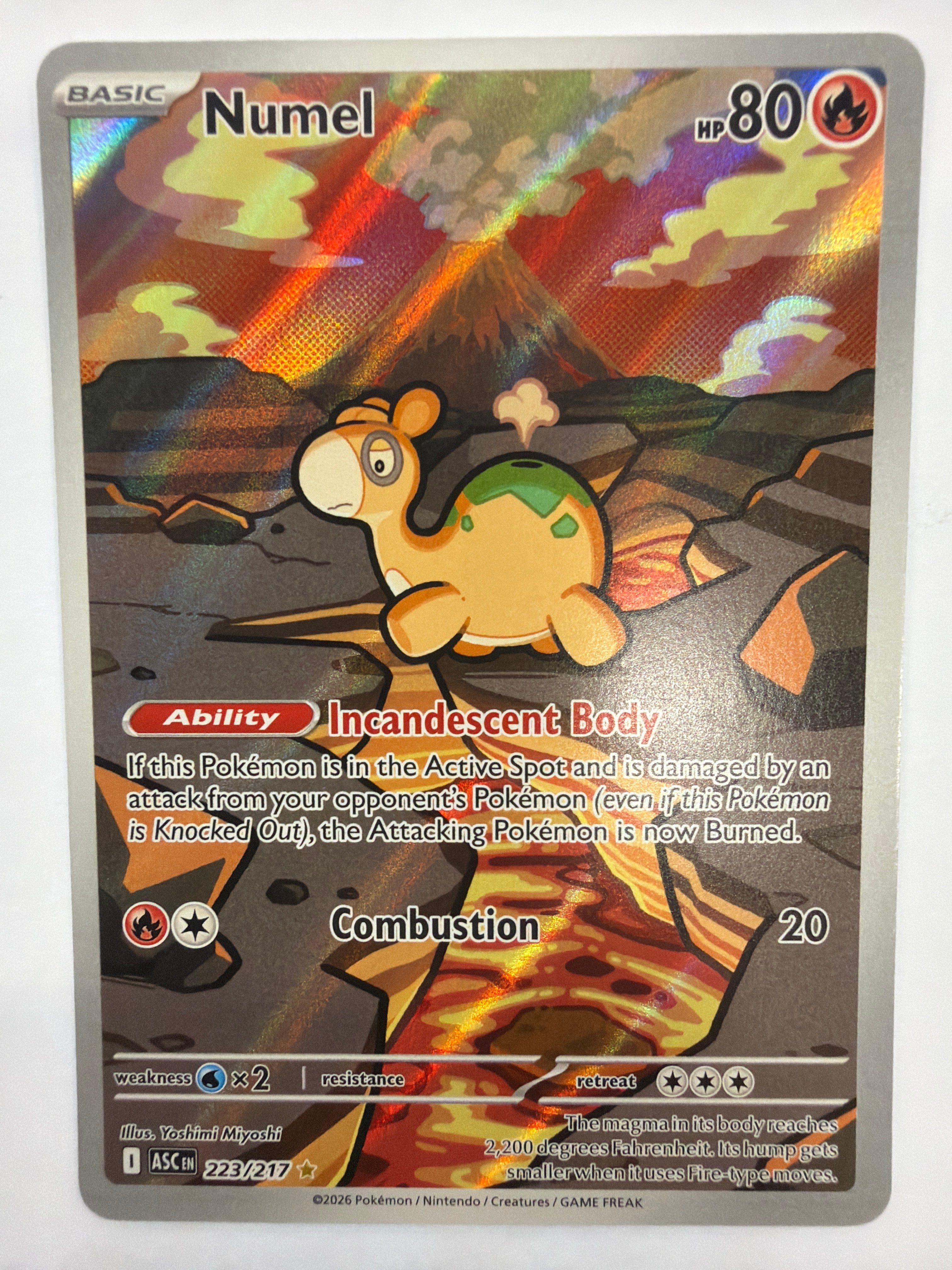 Pokémon TCG - Ascended Heroes Numel 223/217 NM
