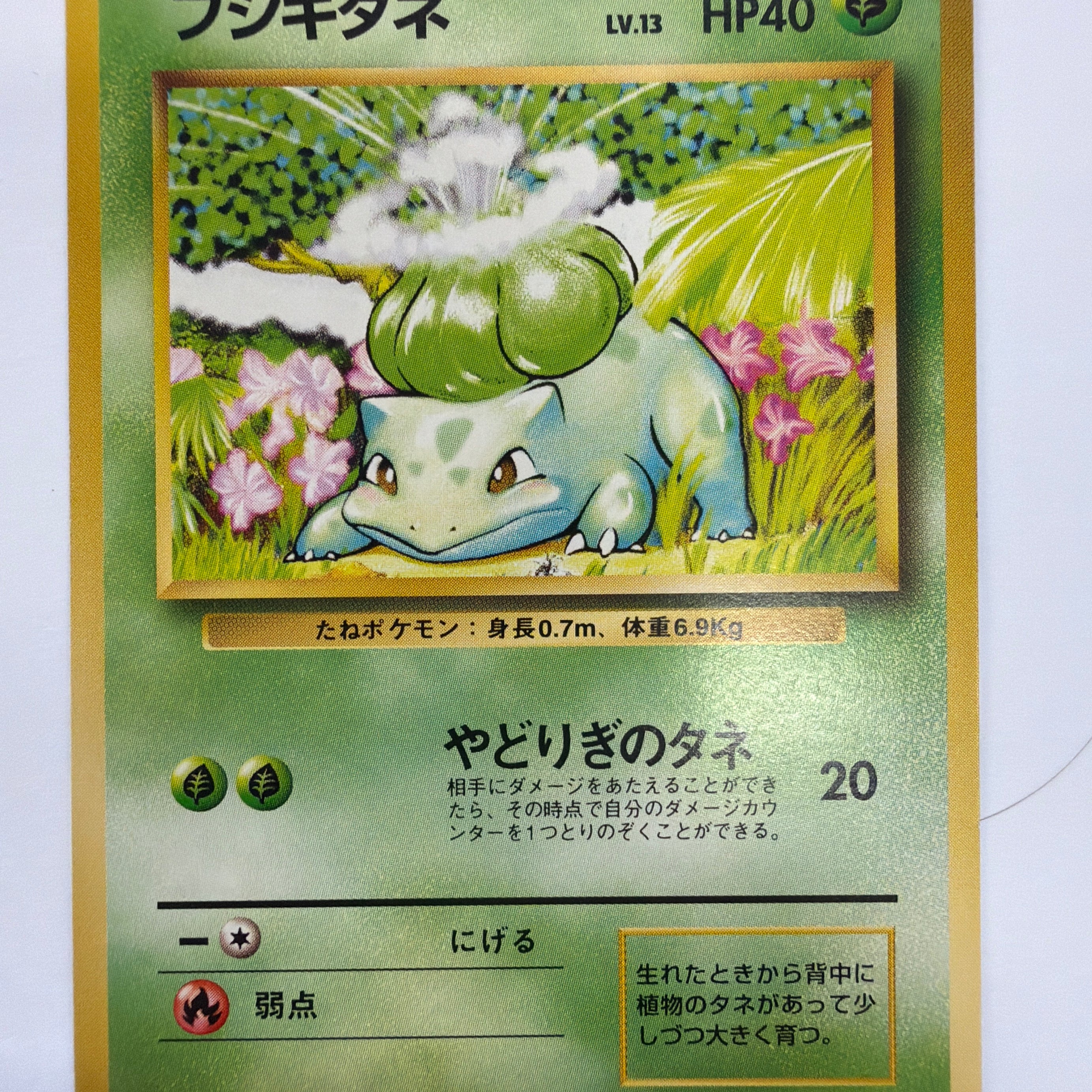 Pokémon TCG - Japanese Expansion Pack Bulbasaur No. 001 Non-Holo NM