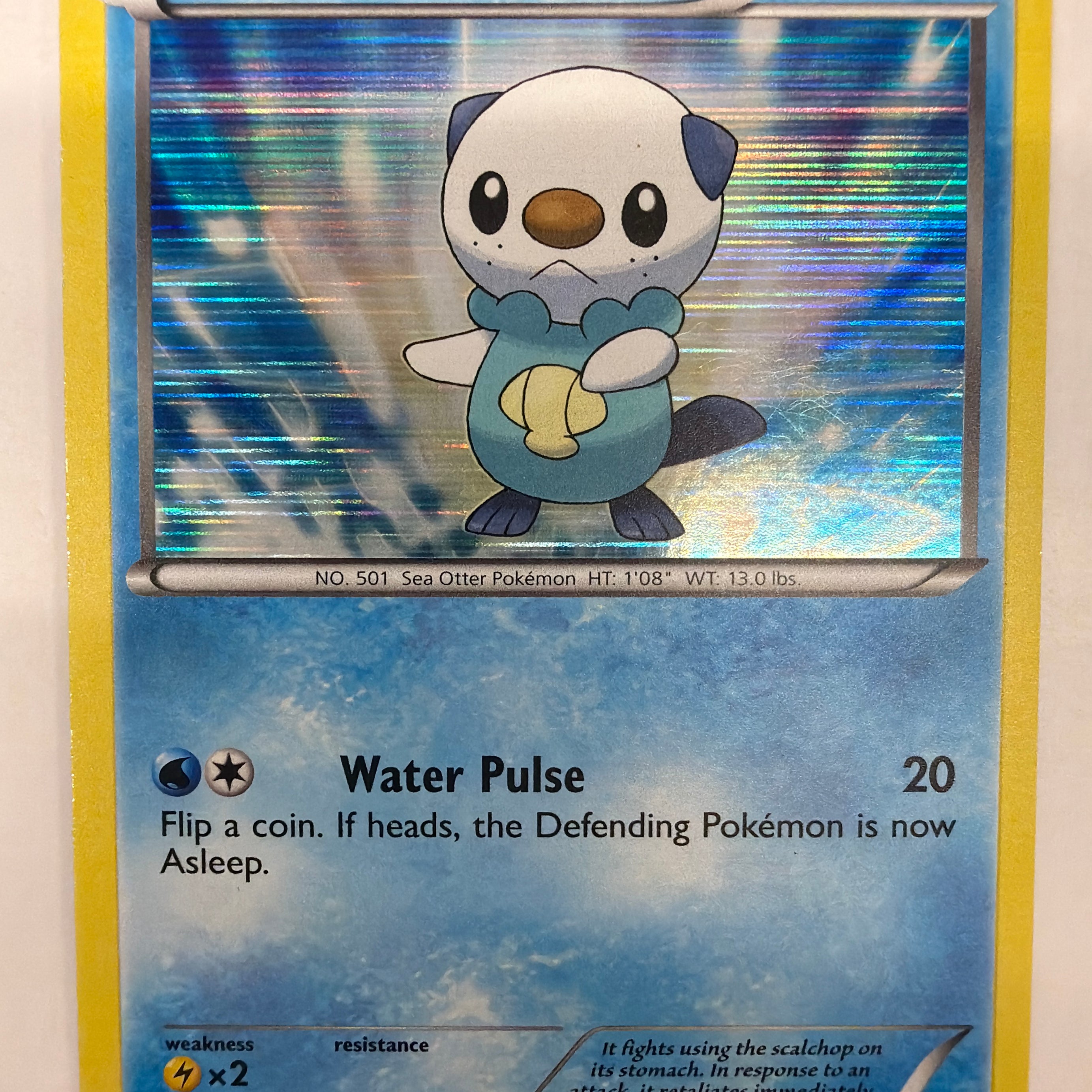 Pokémon TCG - Black & White Promo Oshawott BW03 Holo LP