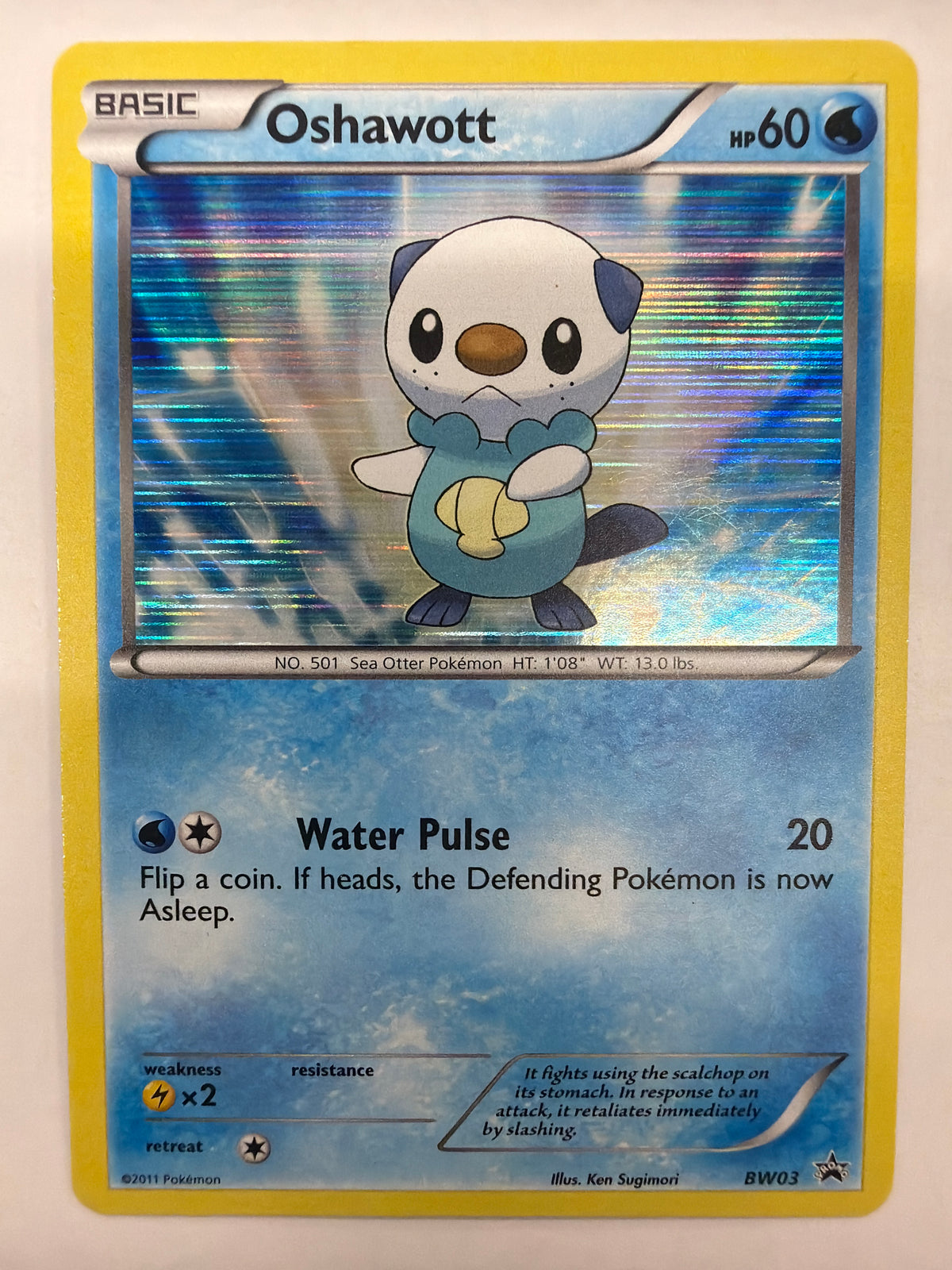 Pokémon TCG - Black & White Promo Oshawott BW03 Holo LP