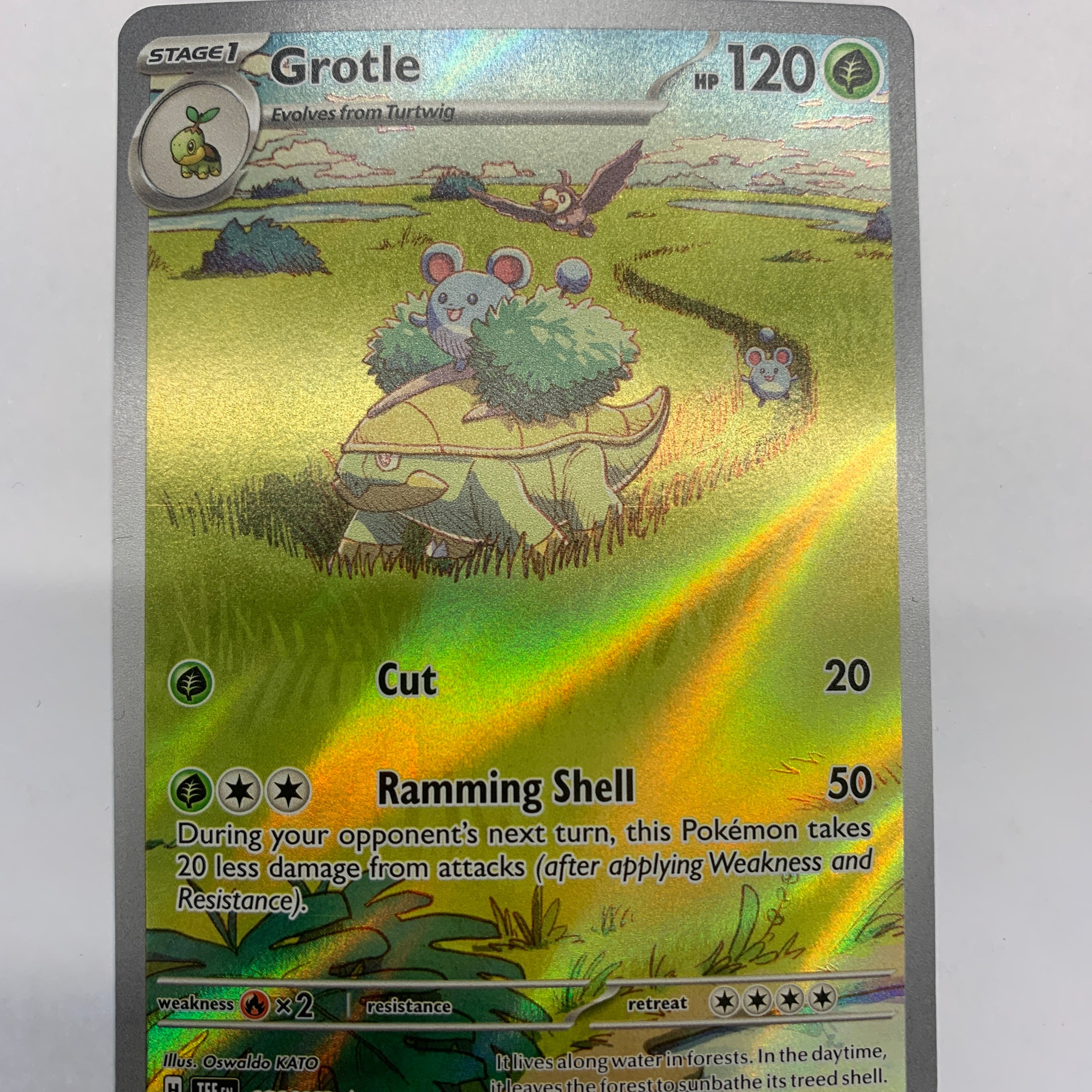 Pokémon TCG - Temporal Forces Grotle 164/162 NM