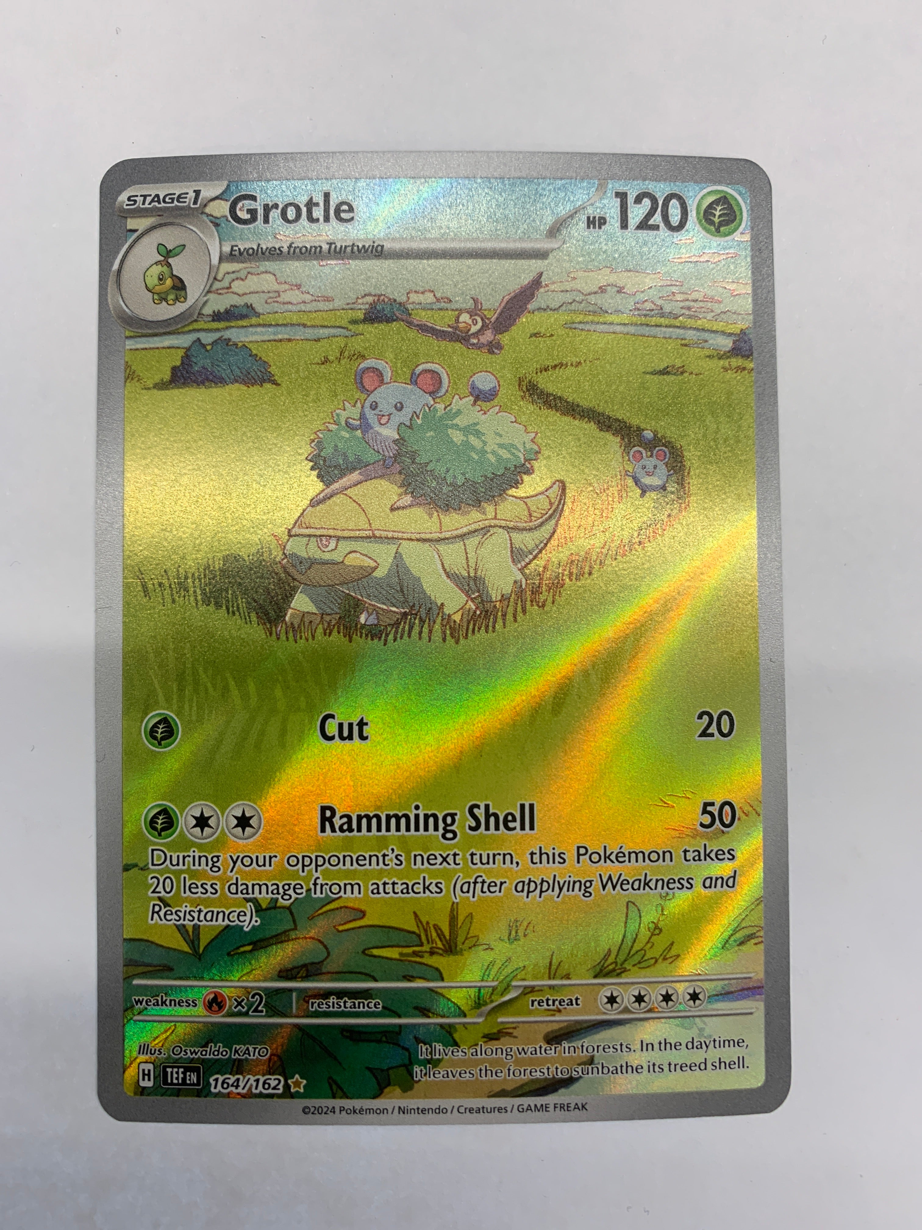 Pokémon TCG - Temporal Forces Grotle 164/162 NM