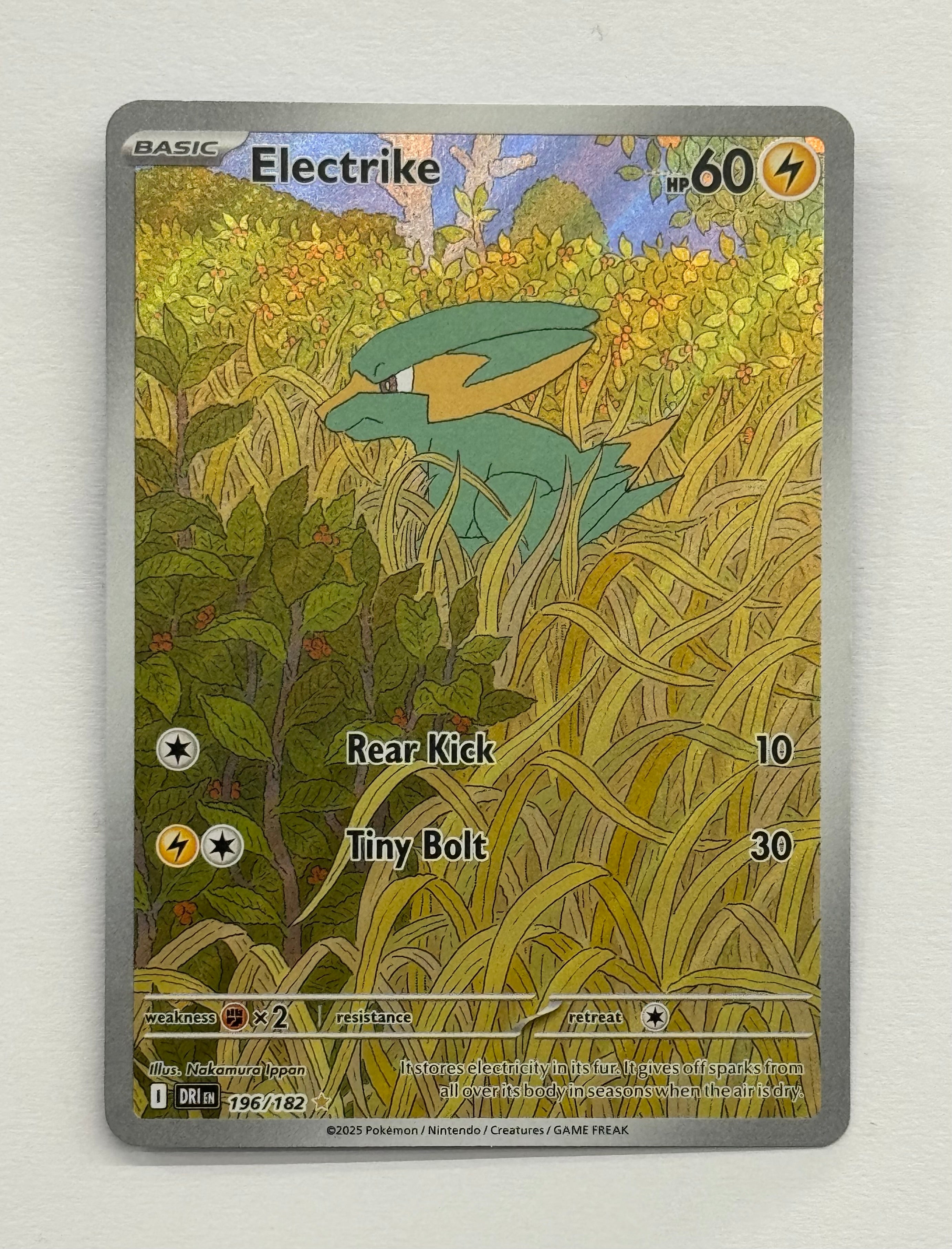 Pokémon TCG - Destined Rivals Electrike 196/182 NM