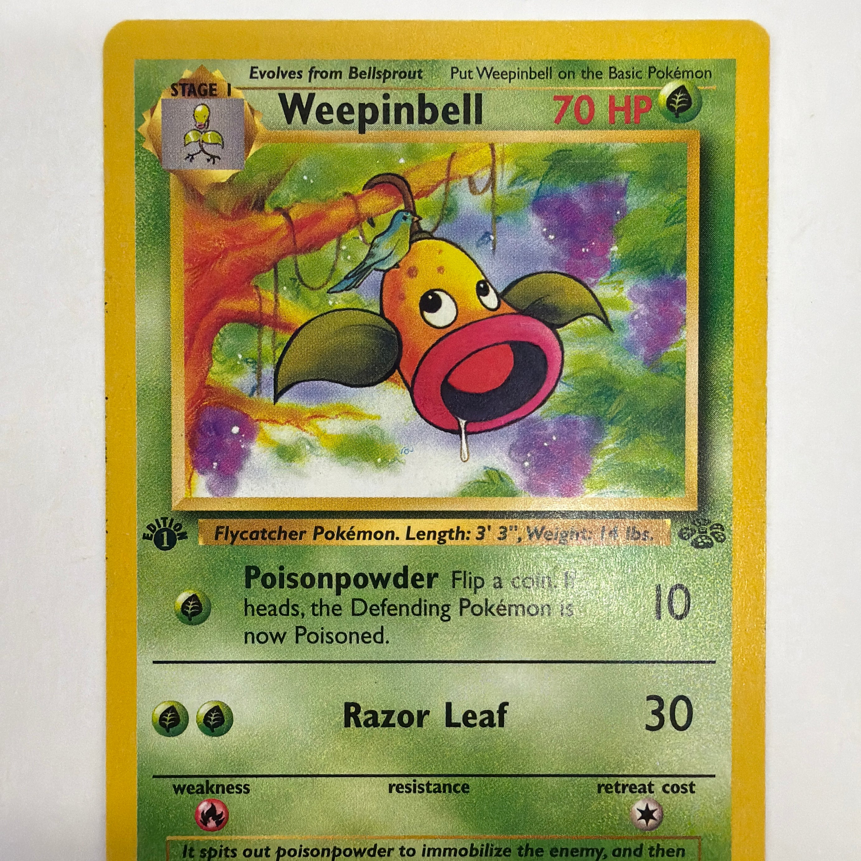 Pokémon TCG - Jungle 1st Edition Weepinbell 48/64 NM