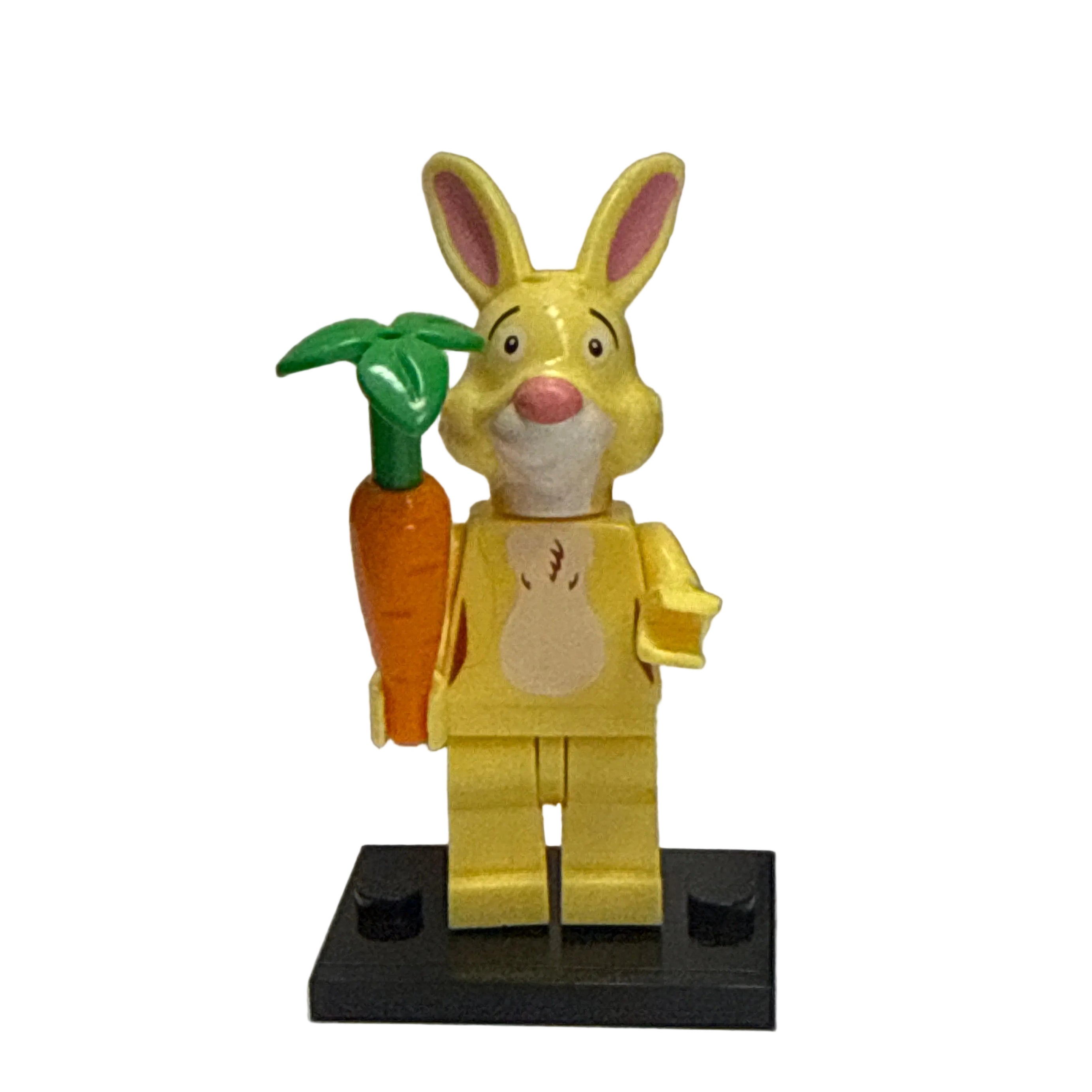 Winnie the Pooh Rabbit #1 Mini Block Figure