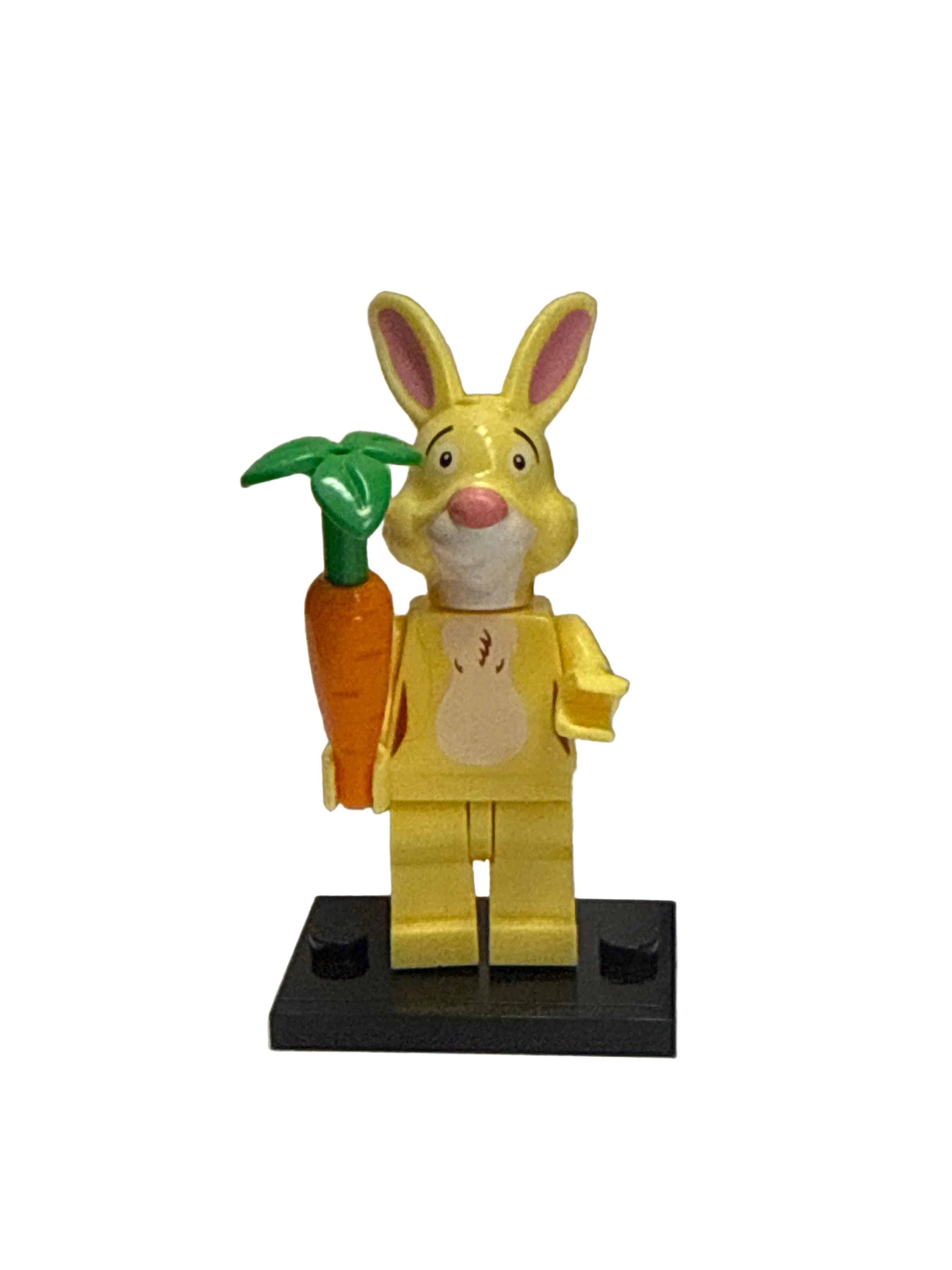 Winnie the Pooh Rabbit #1 Mini Block Figure