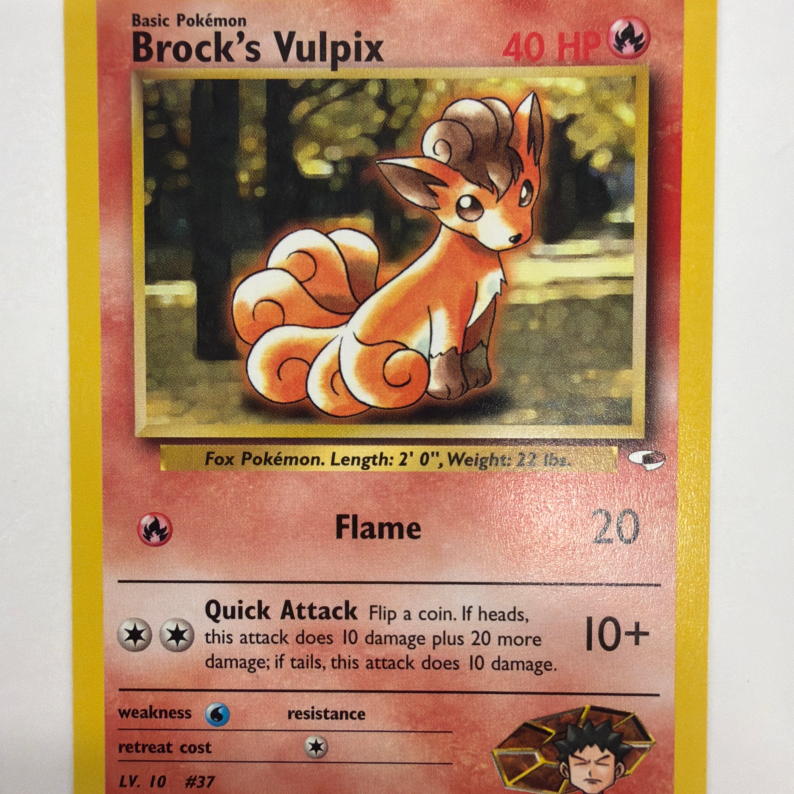Pokémon TCG - Gym Challenge Unlimited Brock's Vulpix 73/132 NM