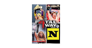 WWE Home Video: Fatal 4 Way 2010 DVD (Pre-Owned)