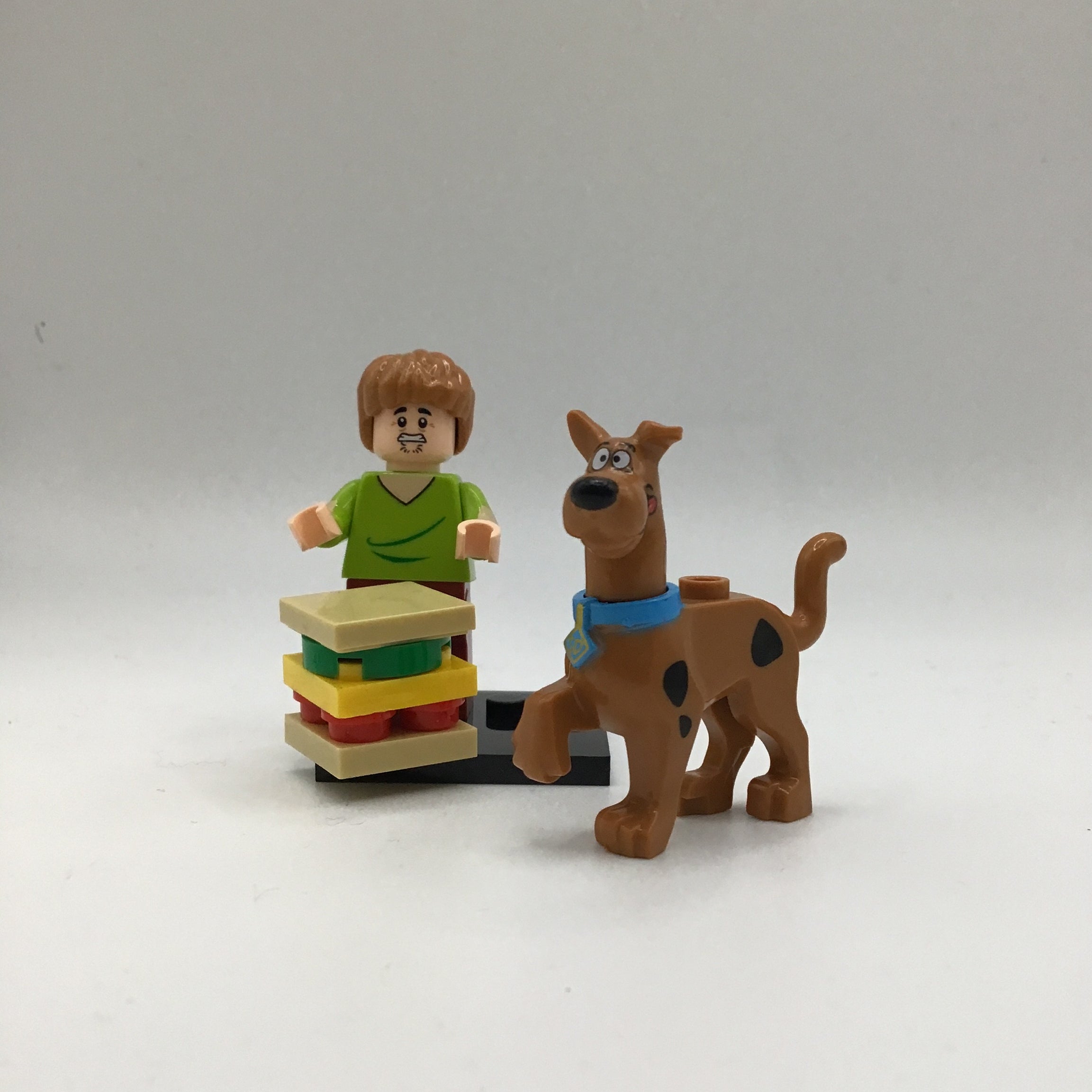 Scooby Doo Scooby & Shaggy #1 Mini Block Figure