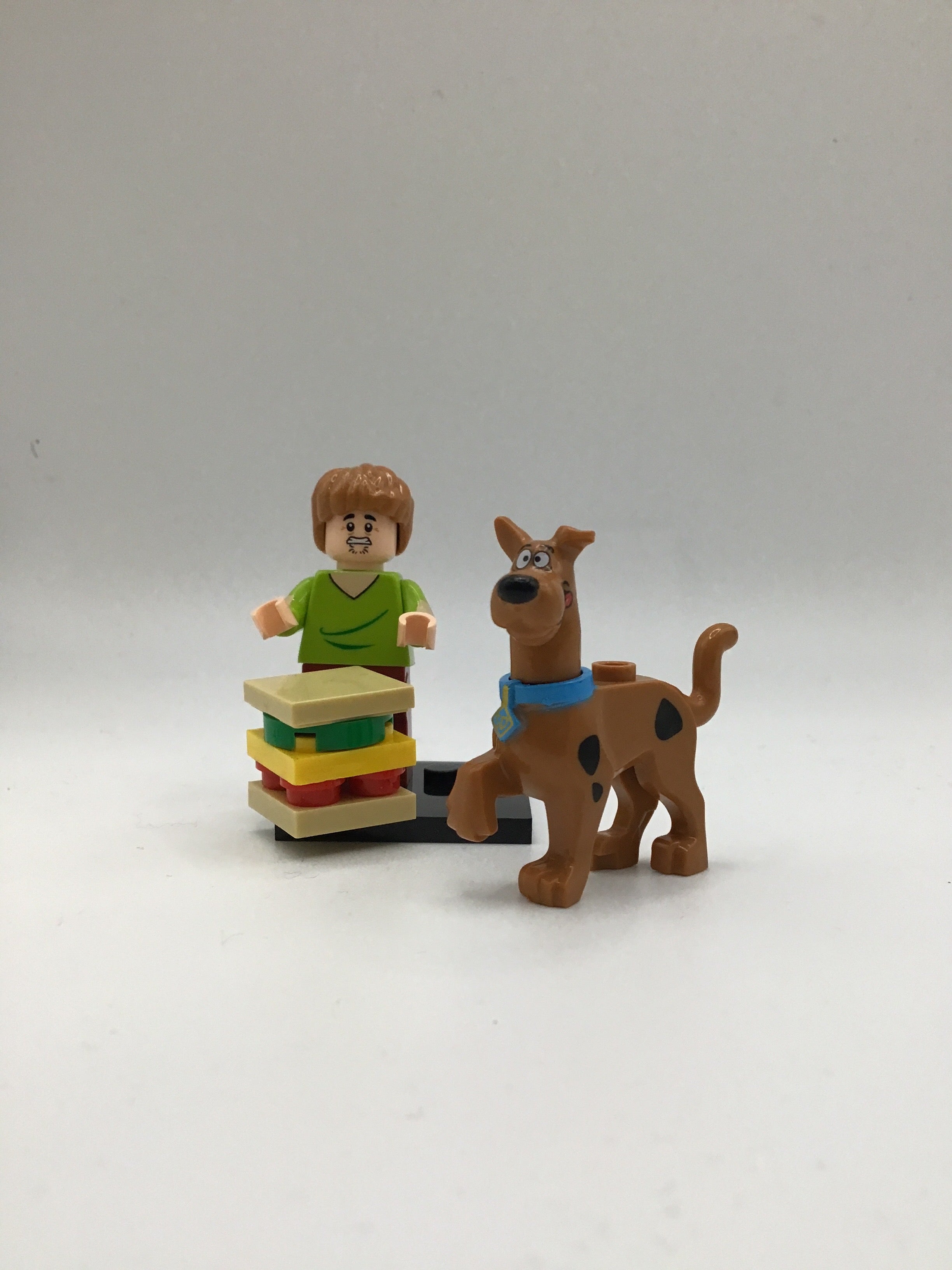 Scooby Doo Scooby & Shaggy #1 Mini Block Figure