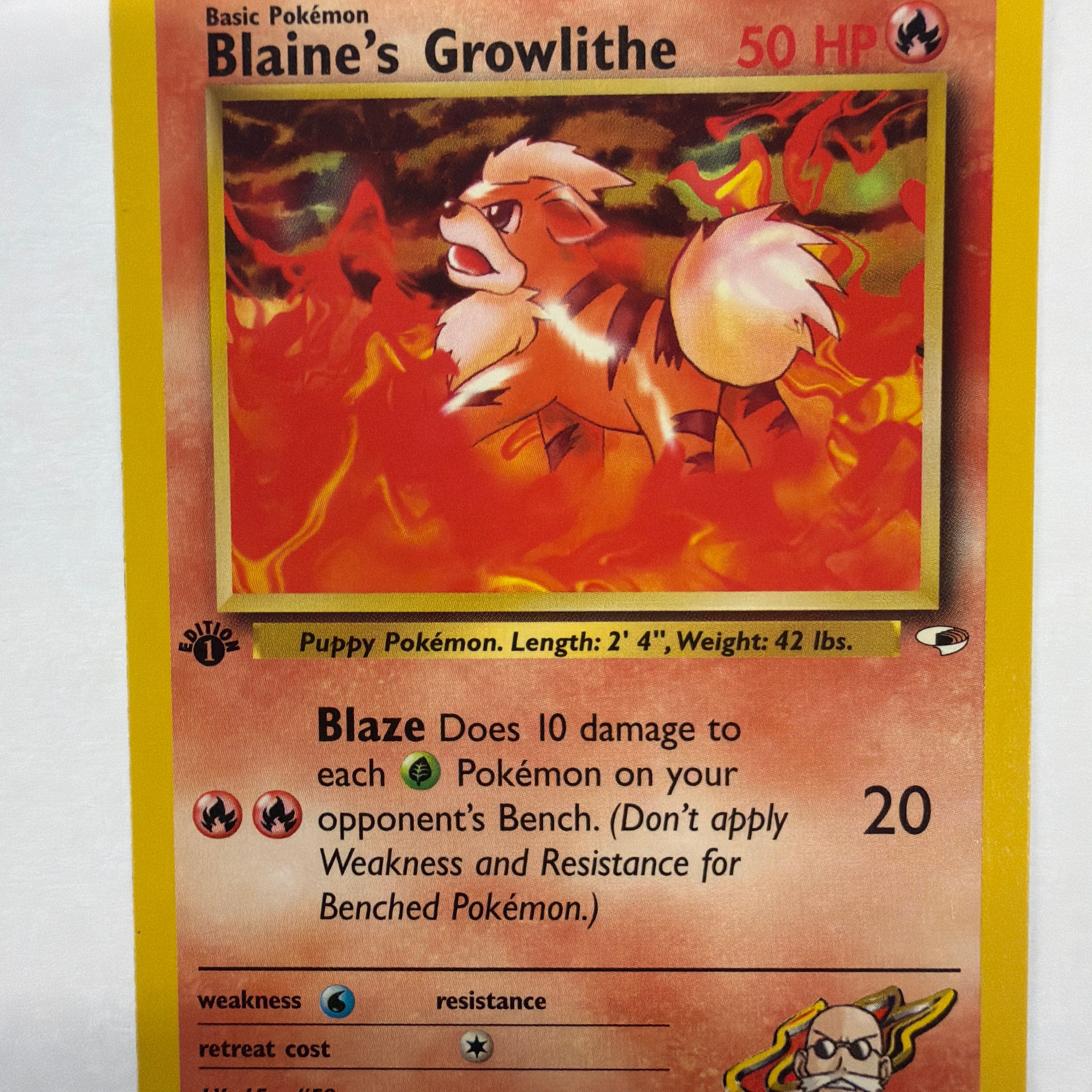Pokémon TCG - Gym Heroes 1st Edition Blaine's Growlithe 60/132 Non-Holo NM