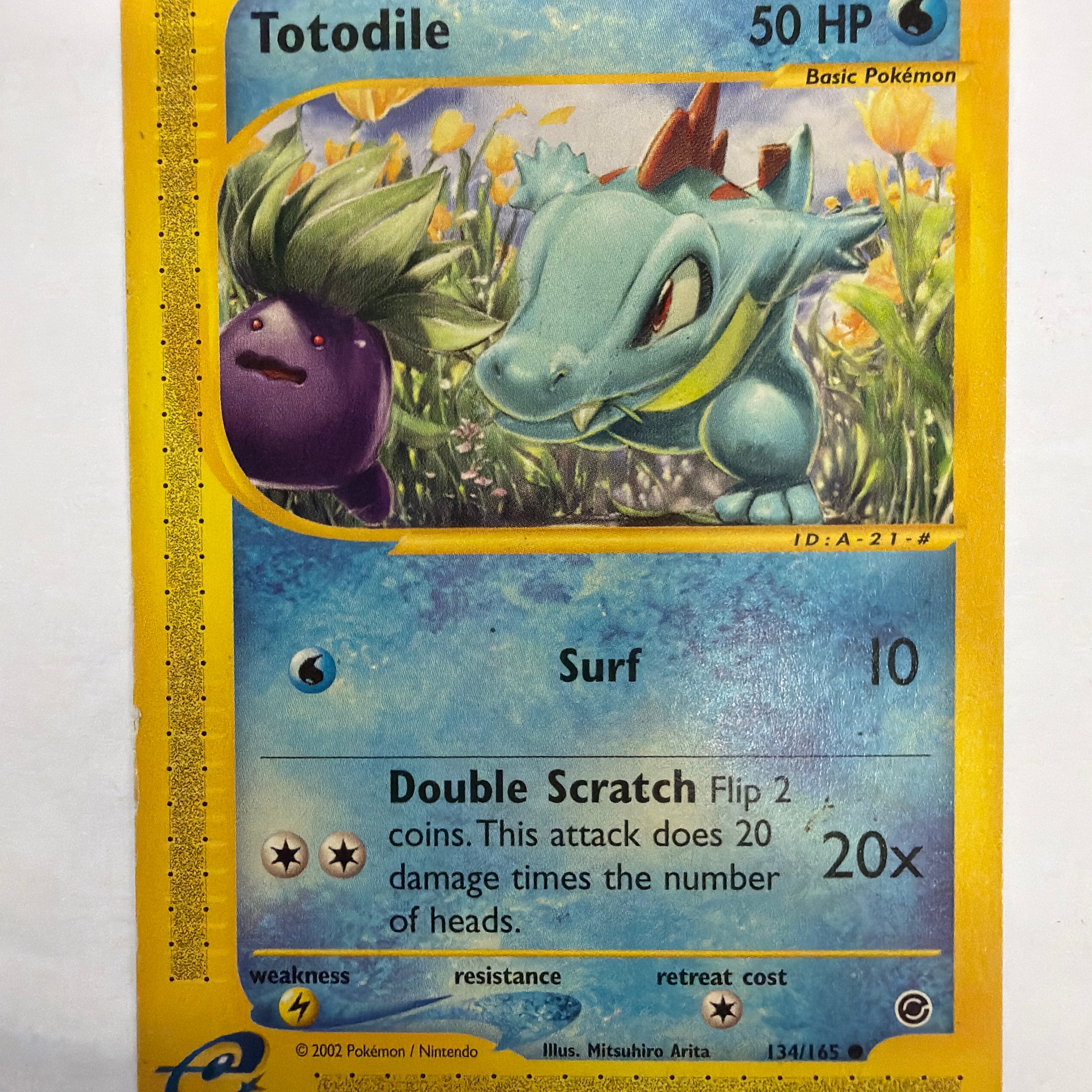Pokémon TCG - Expedition Totodile 134/165 HP