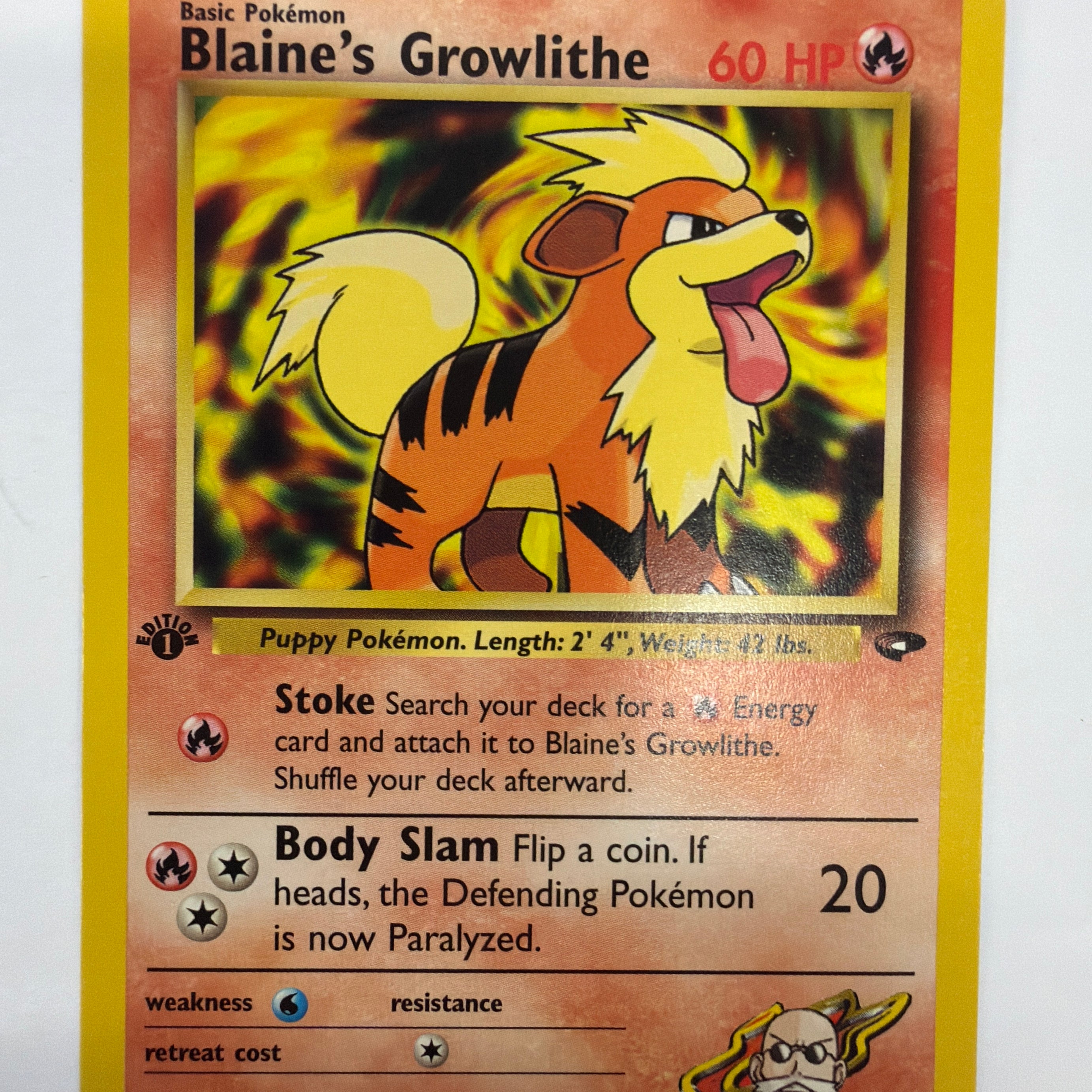 Pokémon TCG - Gym Challenge 1st Edition Blaine's Growlithe 62/132 Non-Holo NM
