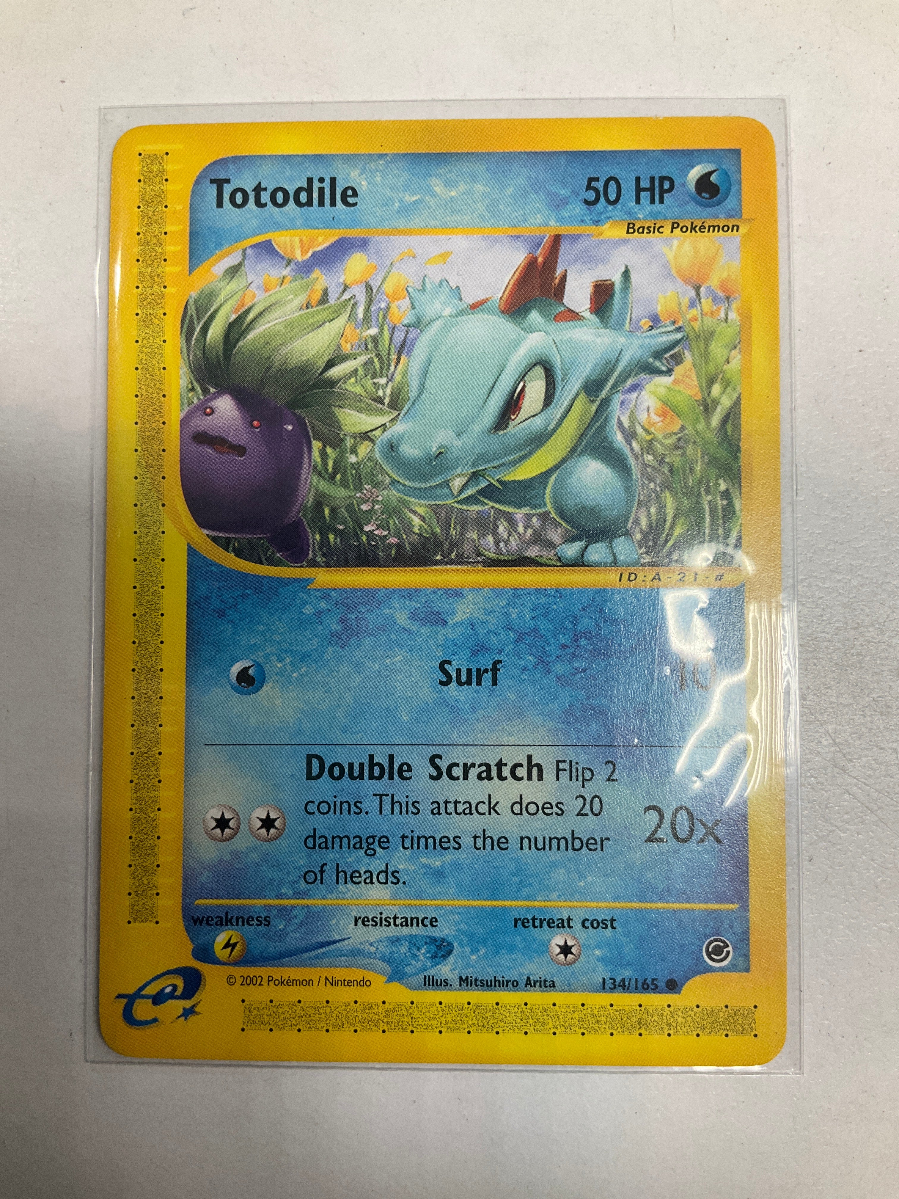 Pokemon TCG Totodile 134/165 Expedition NM True Believers Gaming and Collectibles Pokemon TCG Totodile 134/165 Expedition NM True Believers Gaming and Collectibles
