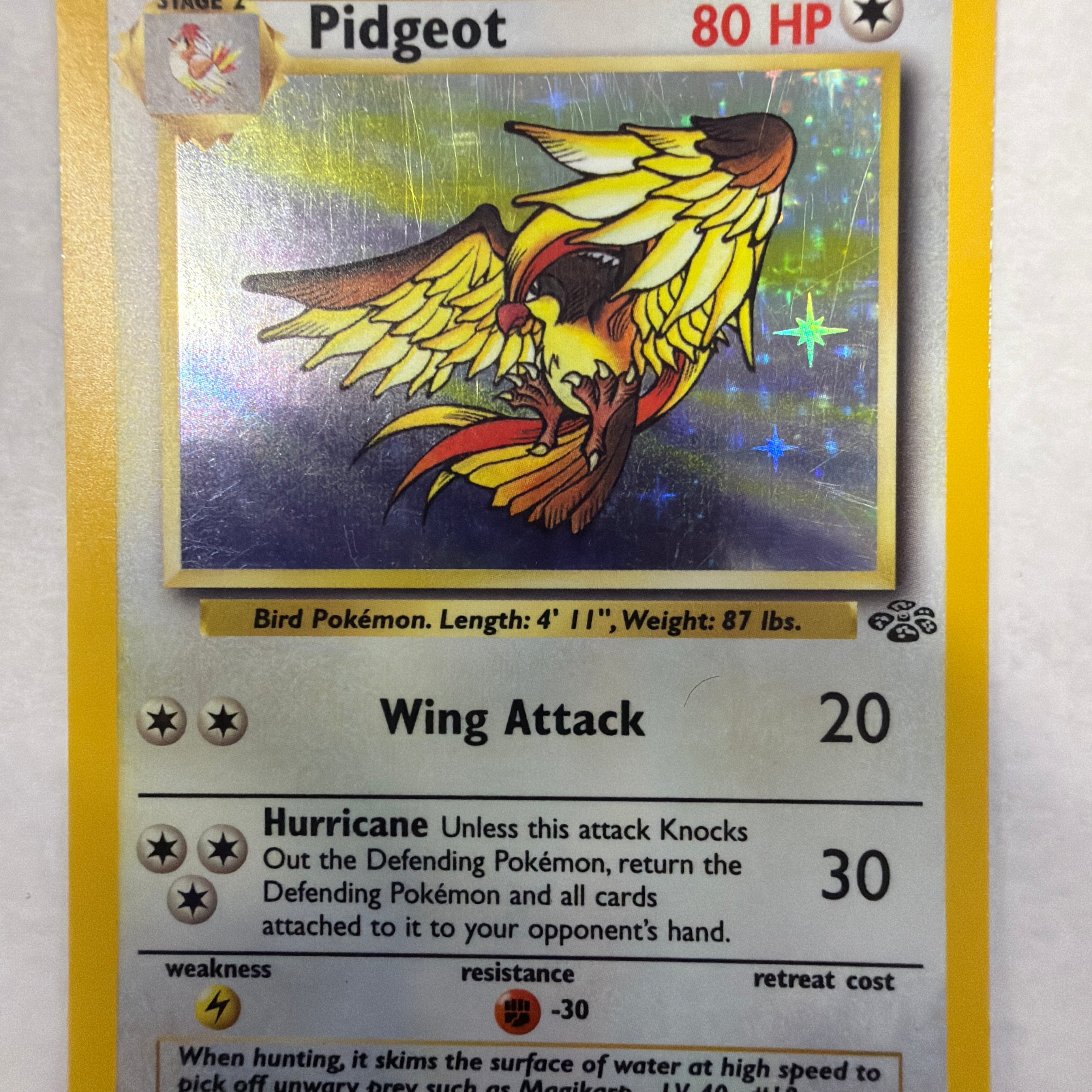 Pokémon TCG - Jungle Unlimited Pidgeot 8/64 Holo MP