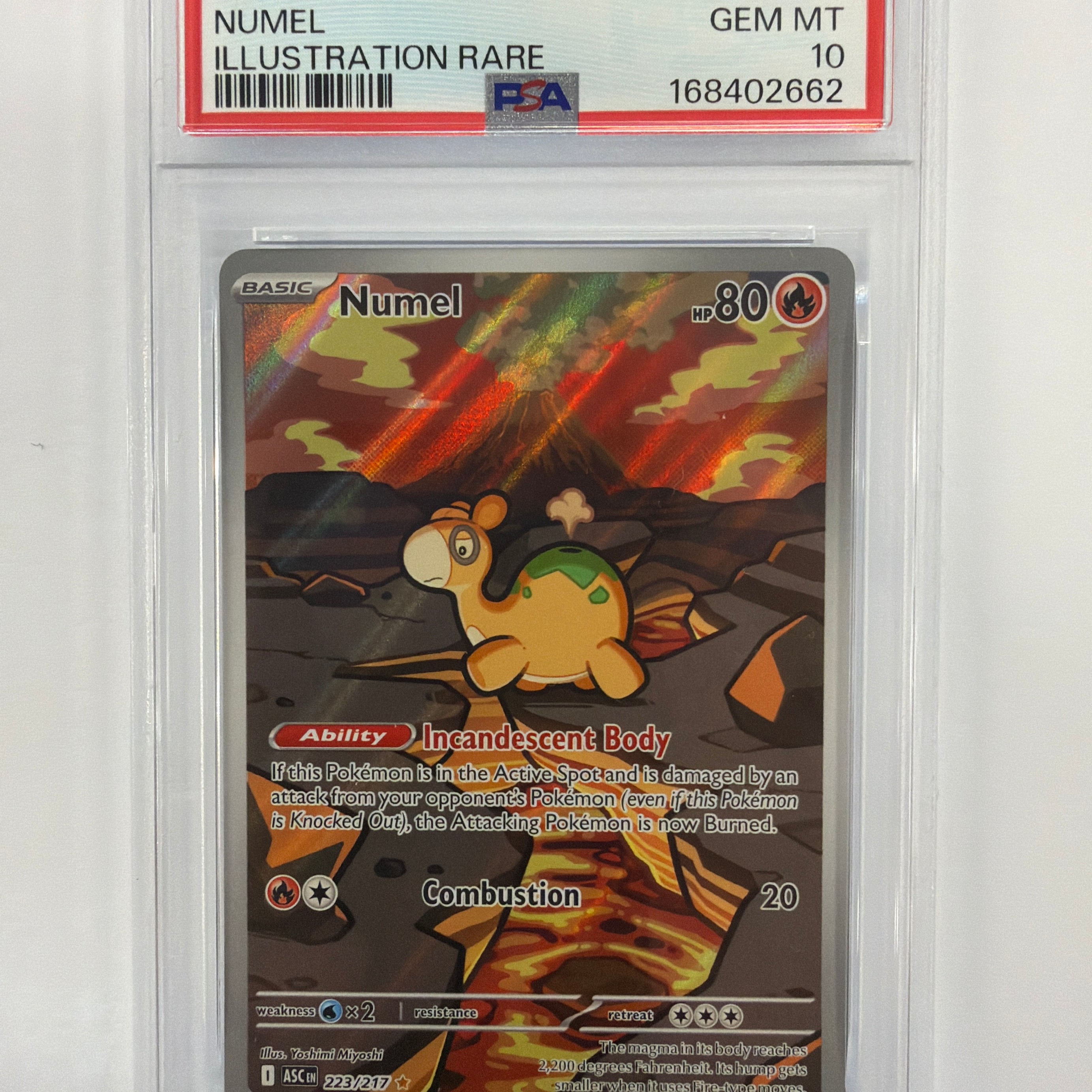 Pokémon TCG - PSA Gem MT 10 Ascended Heroes Numel 223/217 Illustration Rare