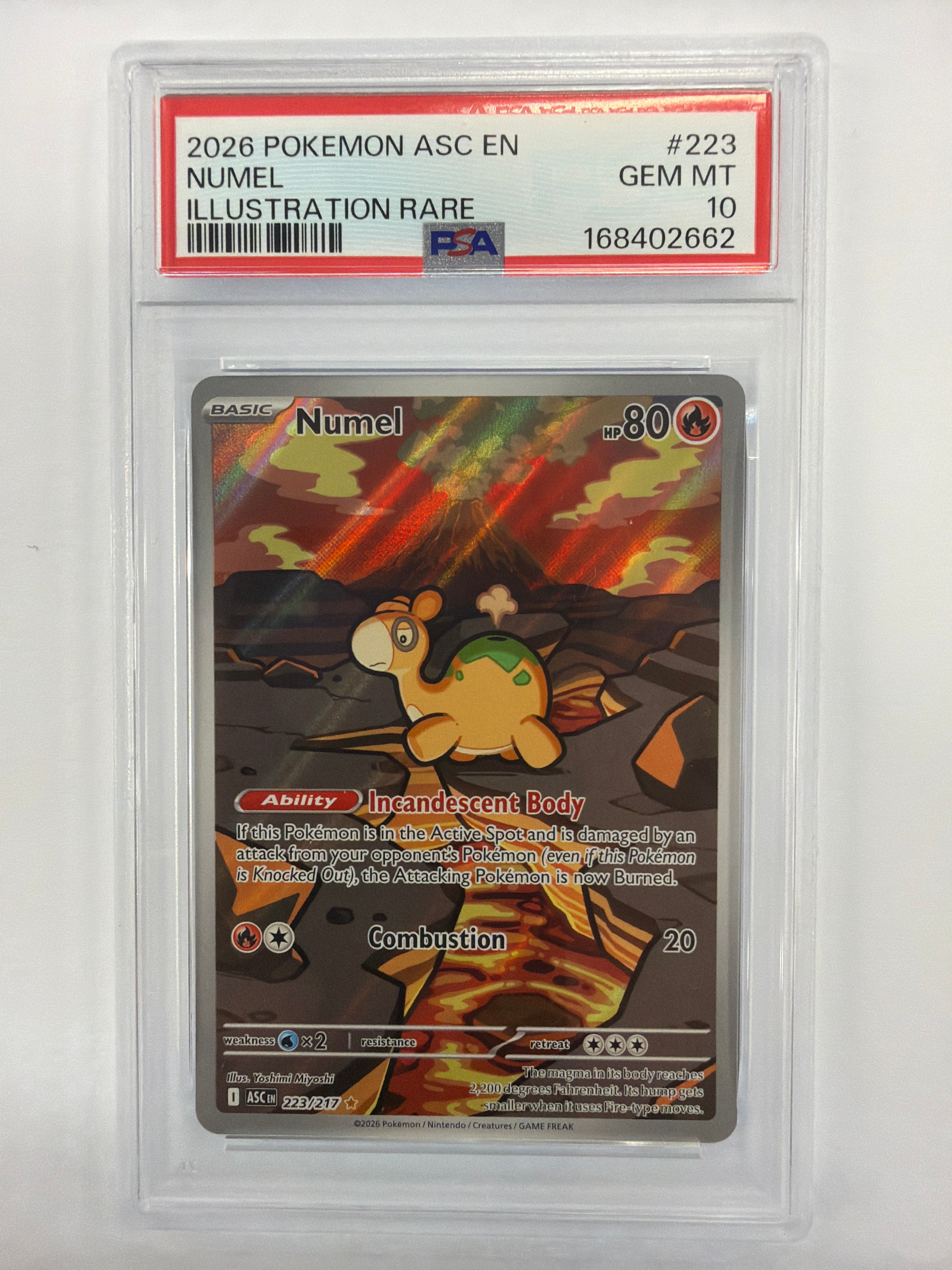 Pokémon TCG - PSA Gem MT 10 Ascended Heroes Numel 223/217 Illustration Rare