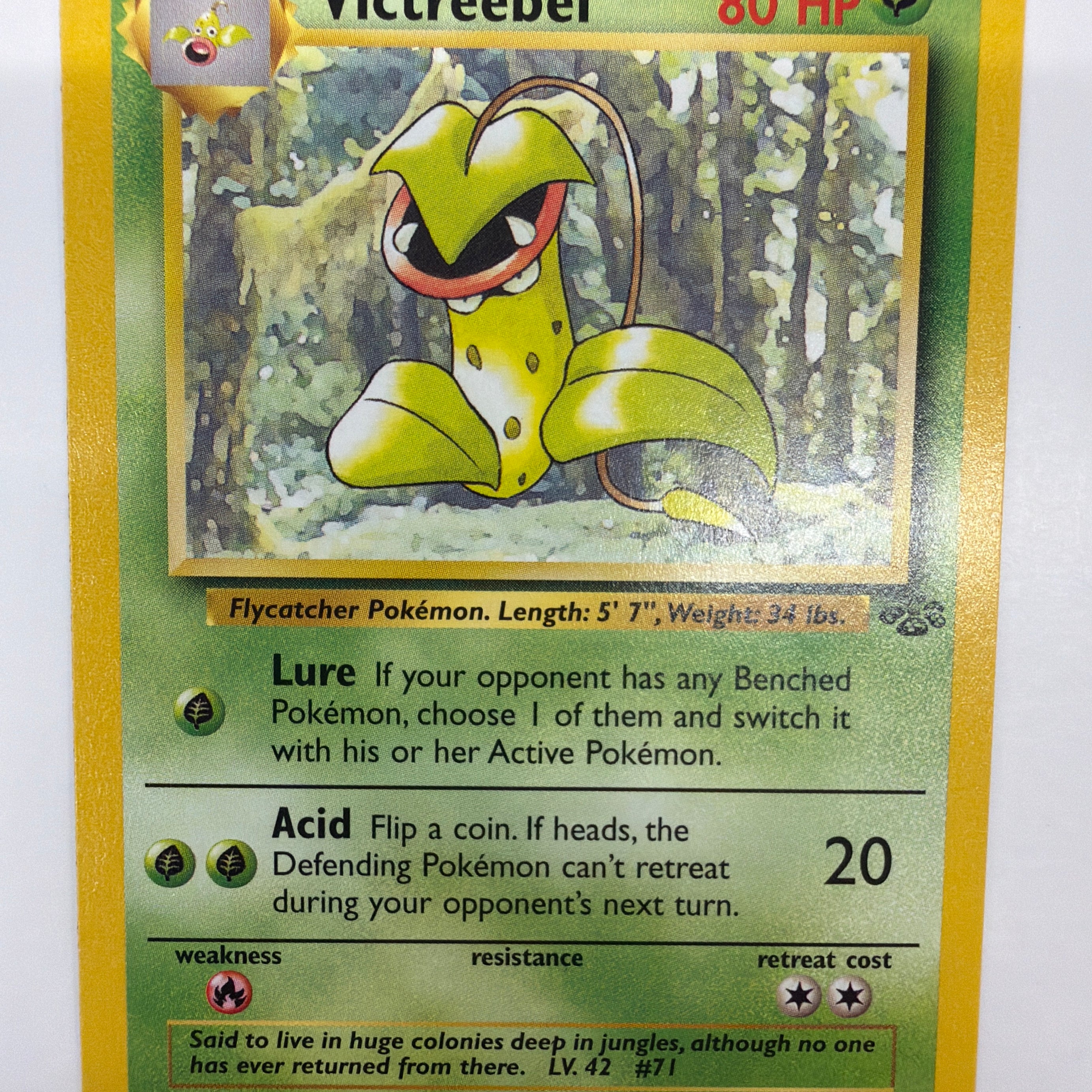 Pokémon TCG - Jungle Unlimited Victreebel 30/64 Non-Holo LP