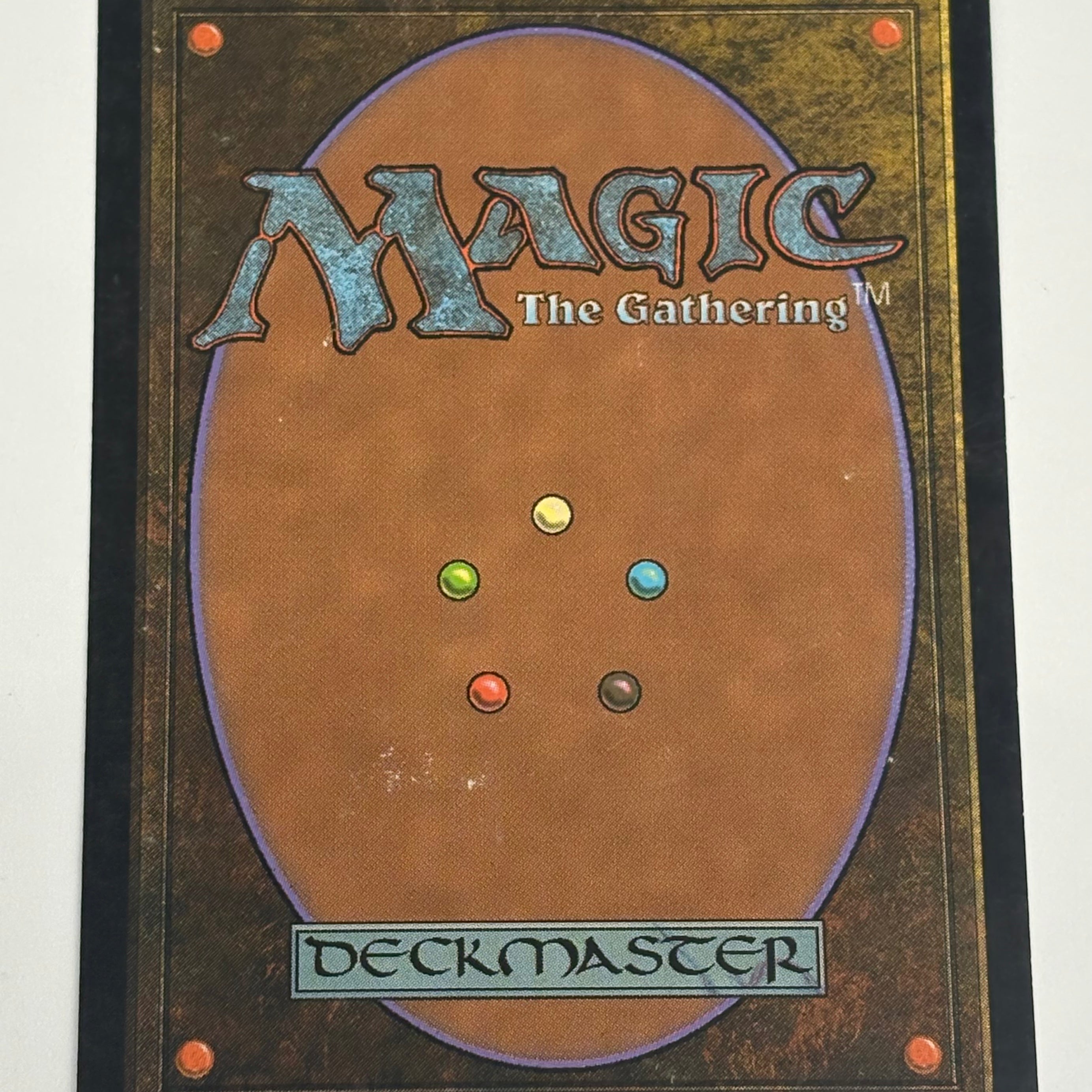 Magic the Gathering TCG - Lorwyn Timber Protector 238/301 LP