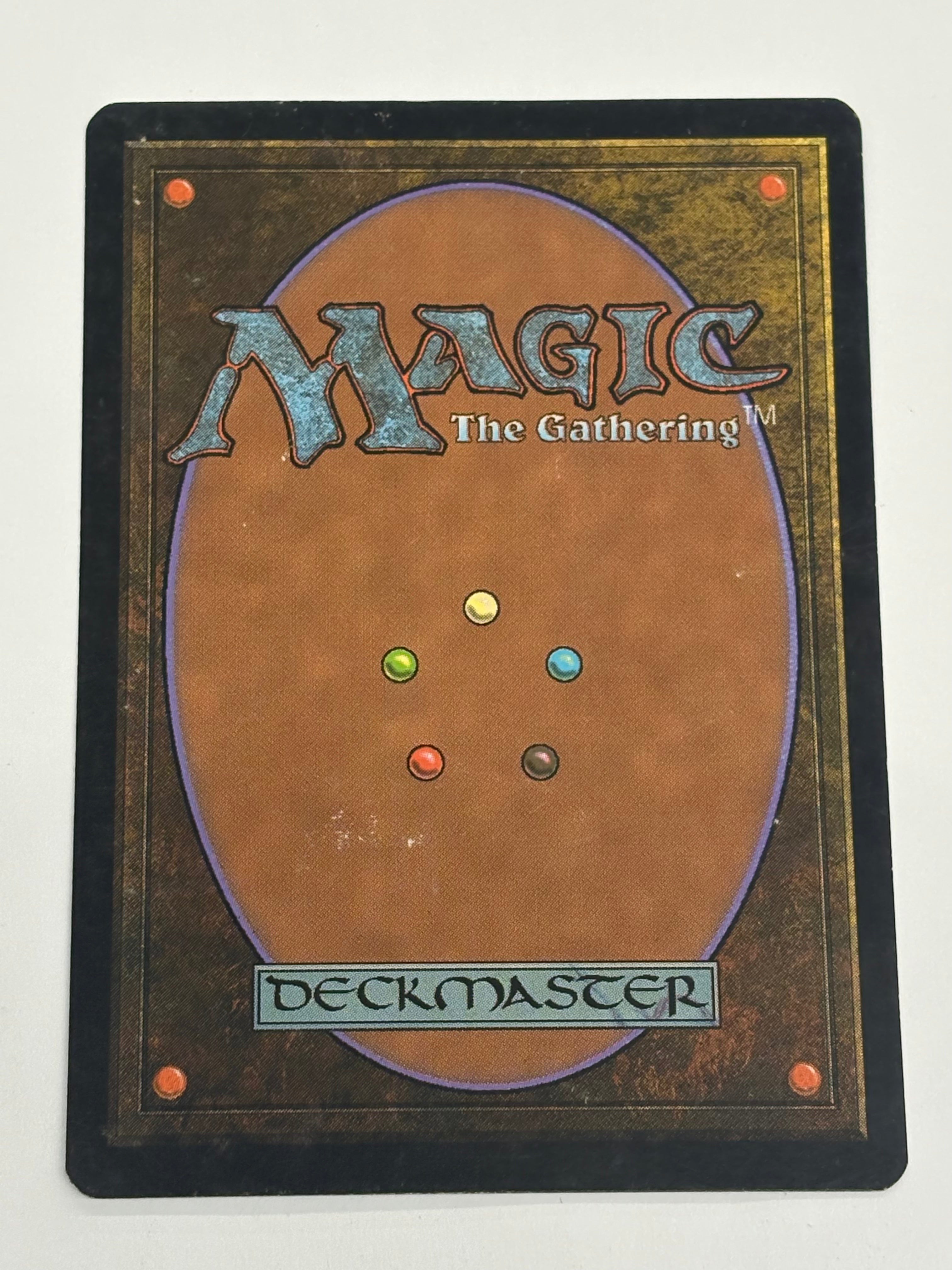 Magic the Gathering TCG - Lorwyn Timber Protector 238/301 LP