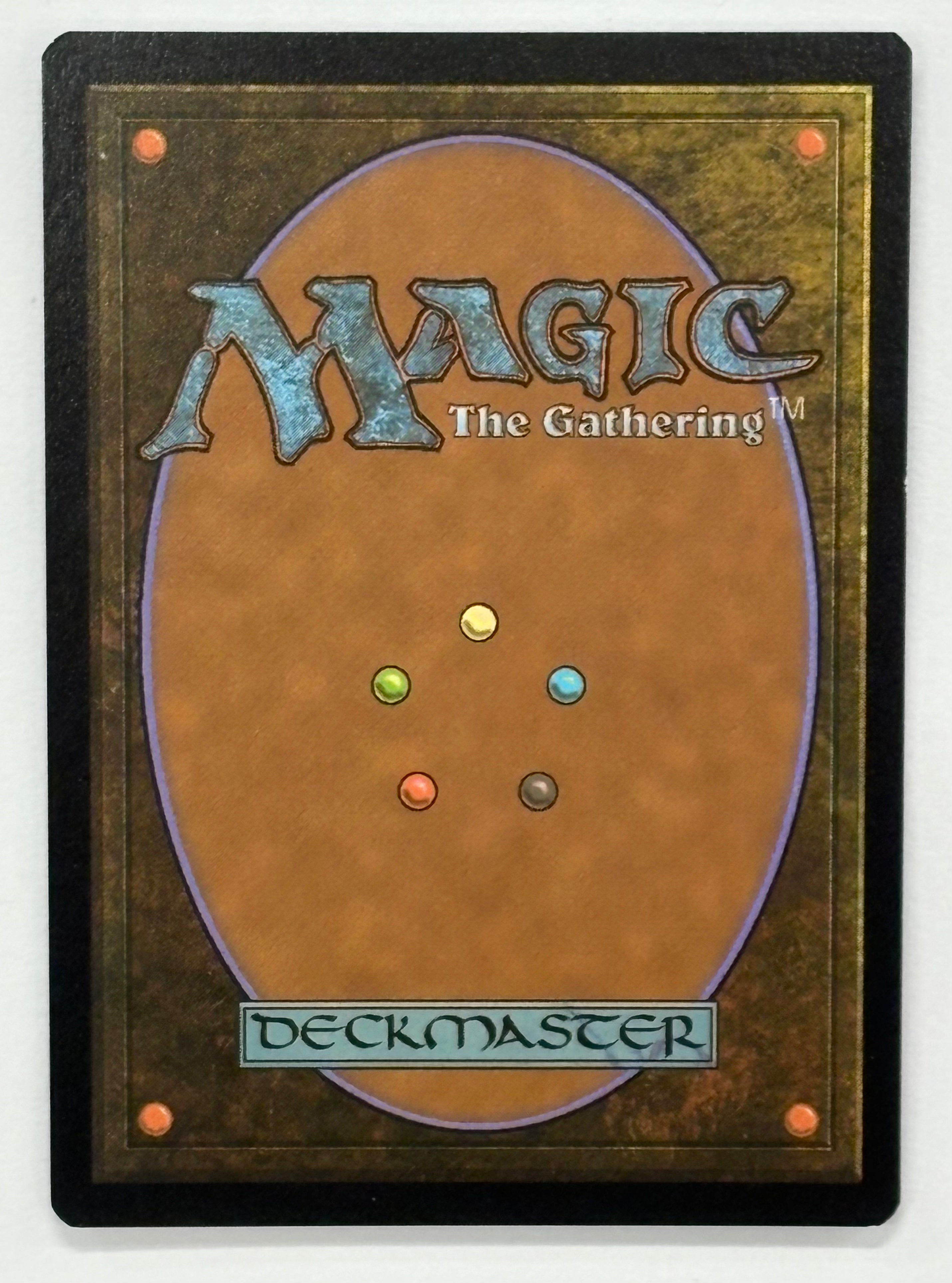 Magic The Gathering TCG - Dungeons & Dragons: Adventures in the Forgotten Realms Delina, Wild Mage (Showcase) 317 Foil NM