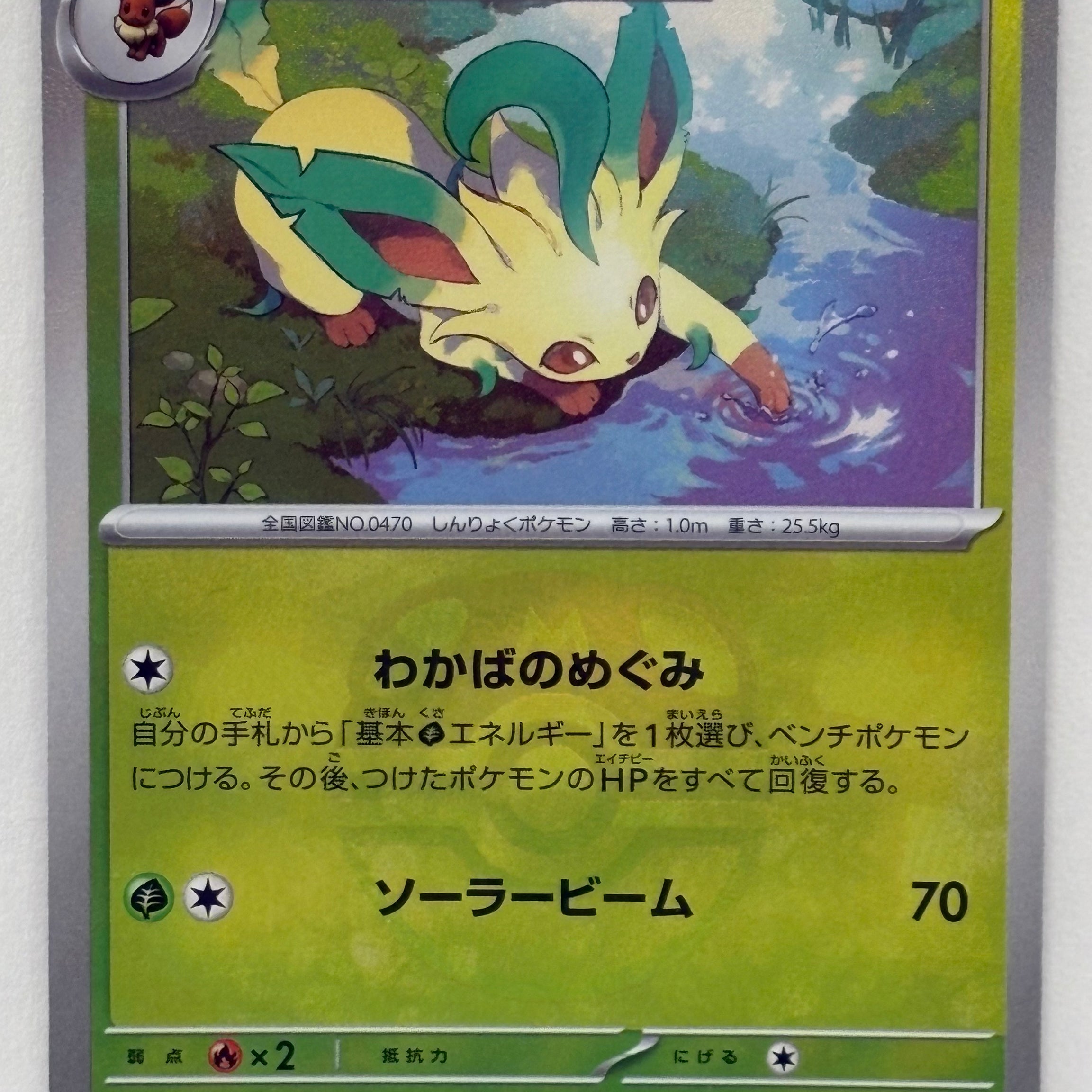 Pokémon TCG - Terestal Fest ex sv8a Leafeon 002/187 Master Ball Pattern NM