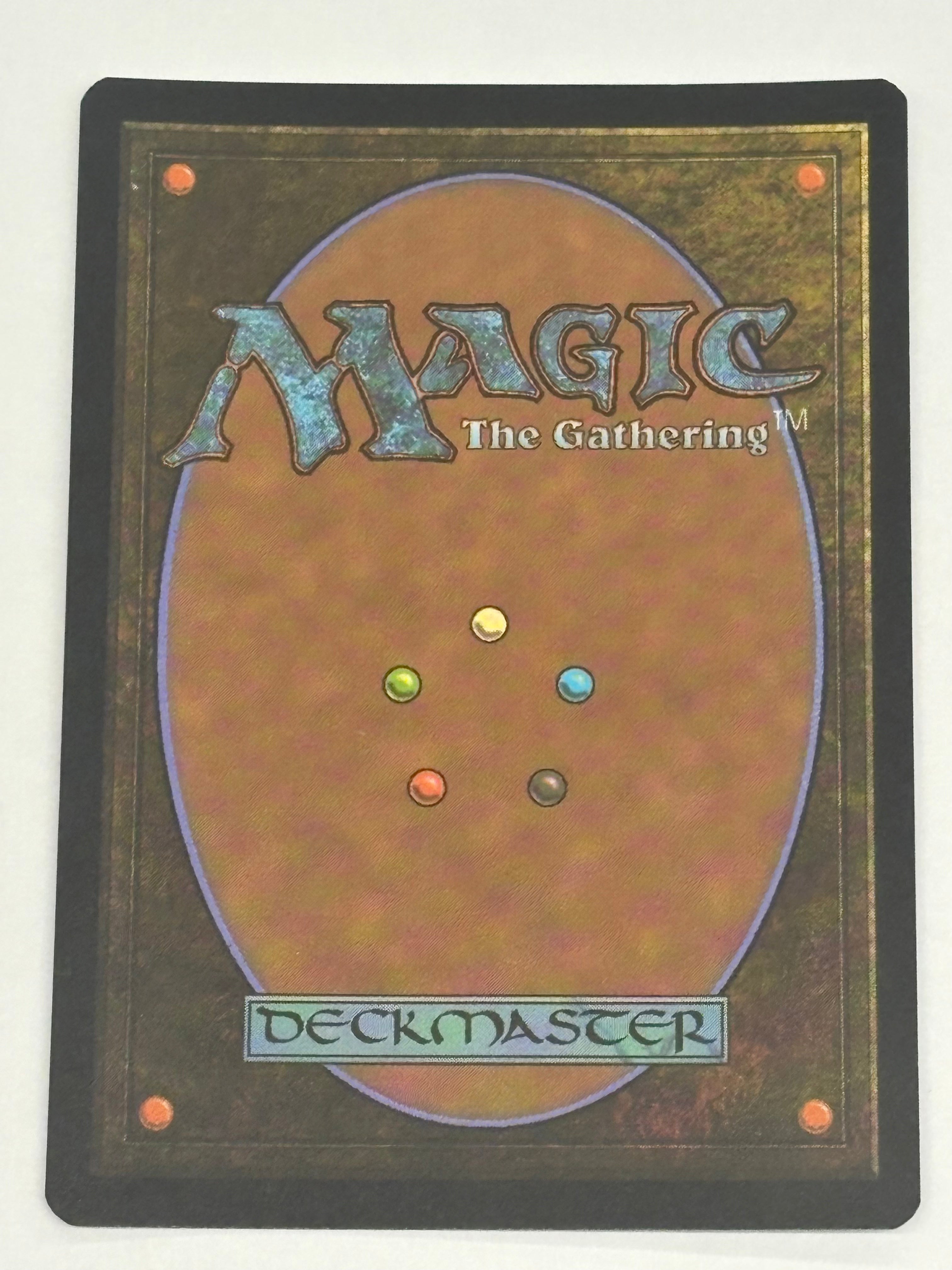 Magic The Gathering TCG - Marvel’s Spider-Man Multiversal Passage (Borderless Foil) 206 NM