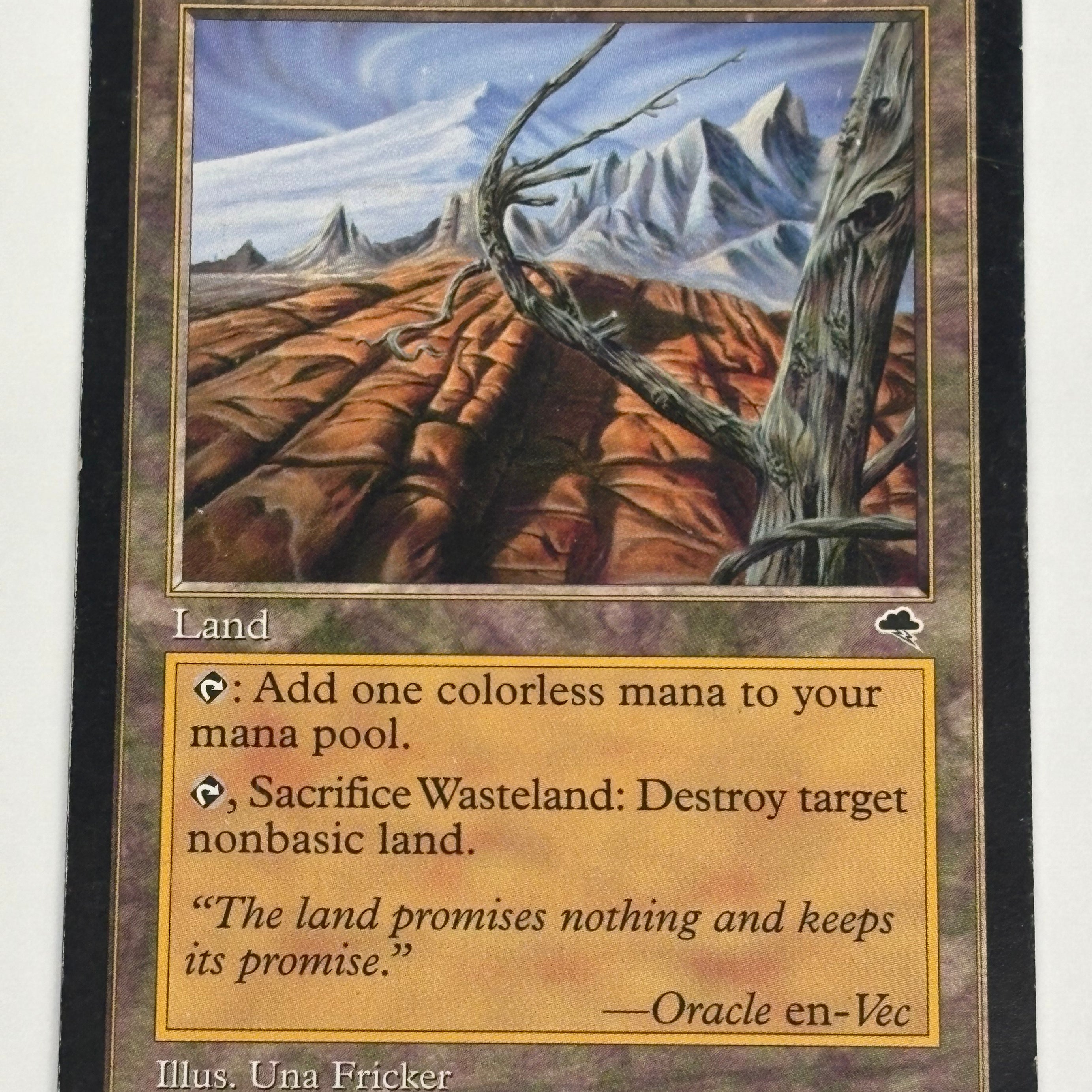Magic the Gathering TCG - Tempest Wasteland #330 MP