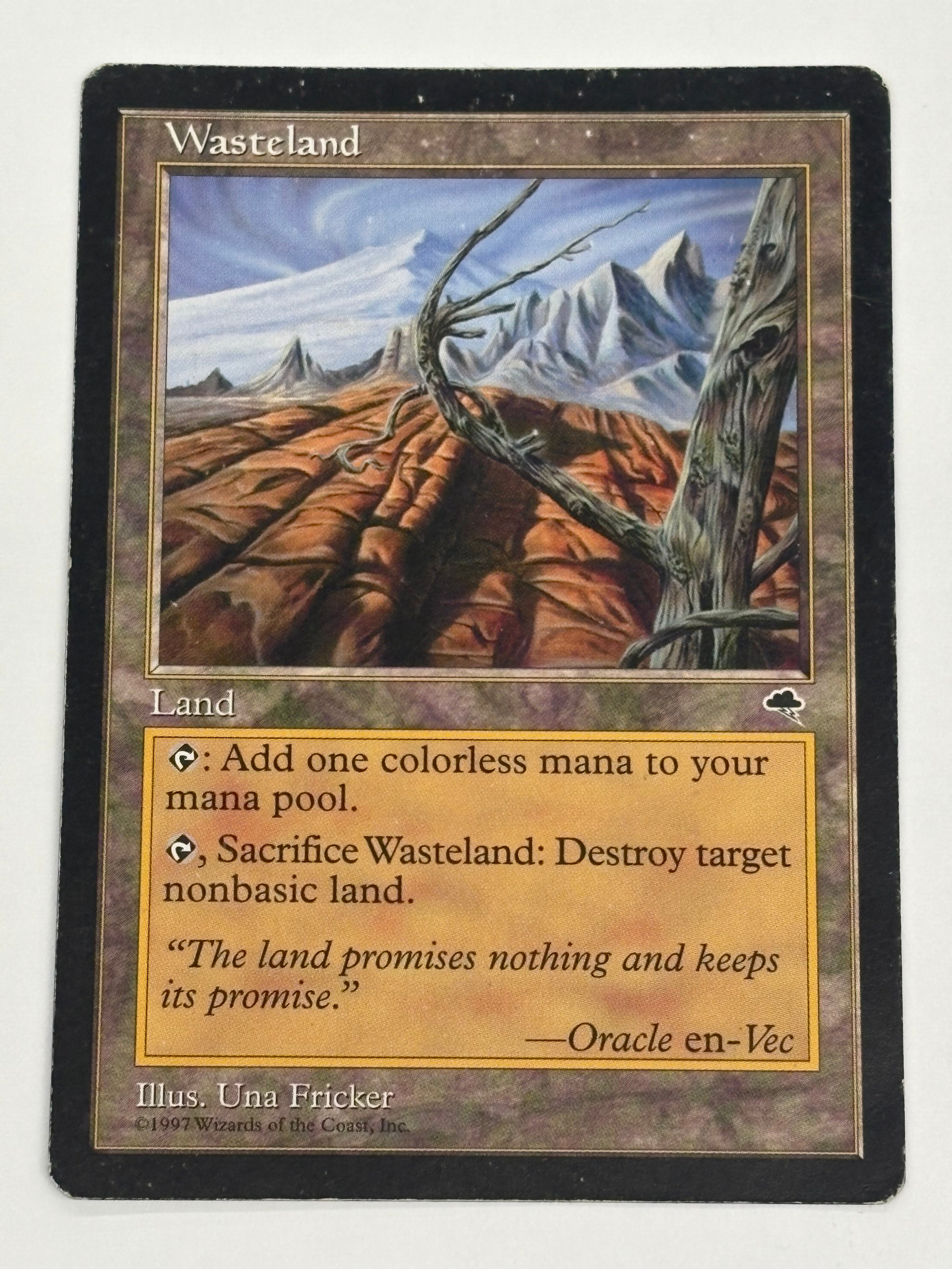 Magic the Gathering TCG - Tempest Wasteland #330 MP