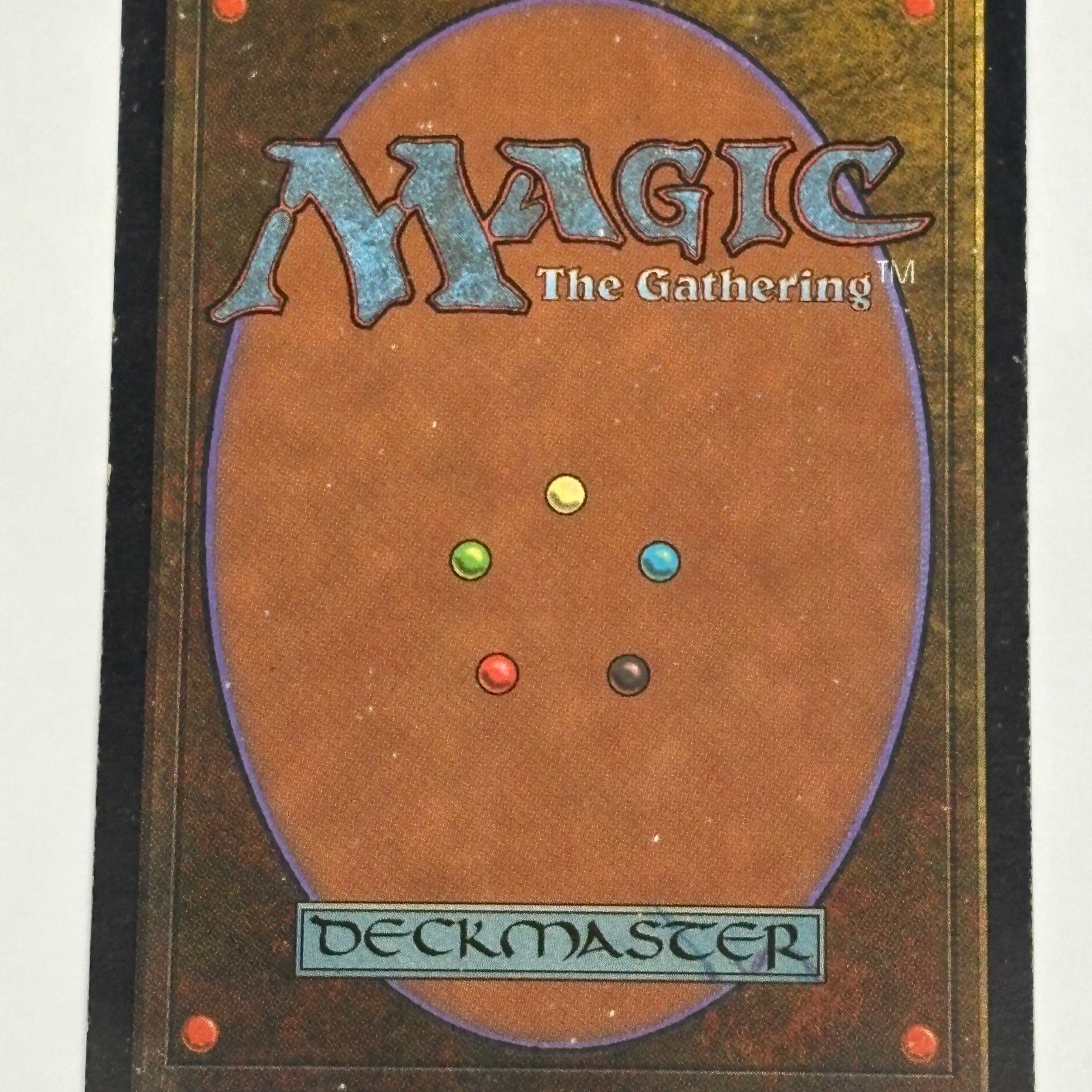 Magic the Gathering TCG - Tempest Wasteland #330 MP