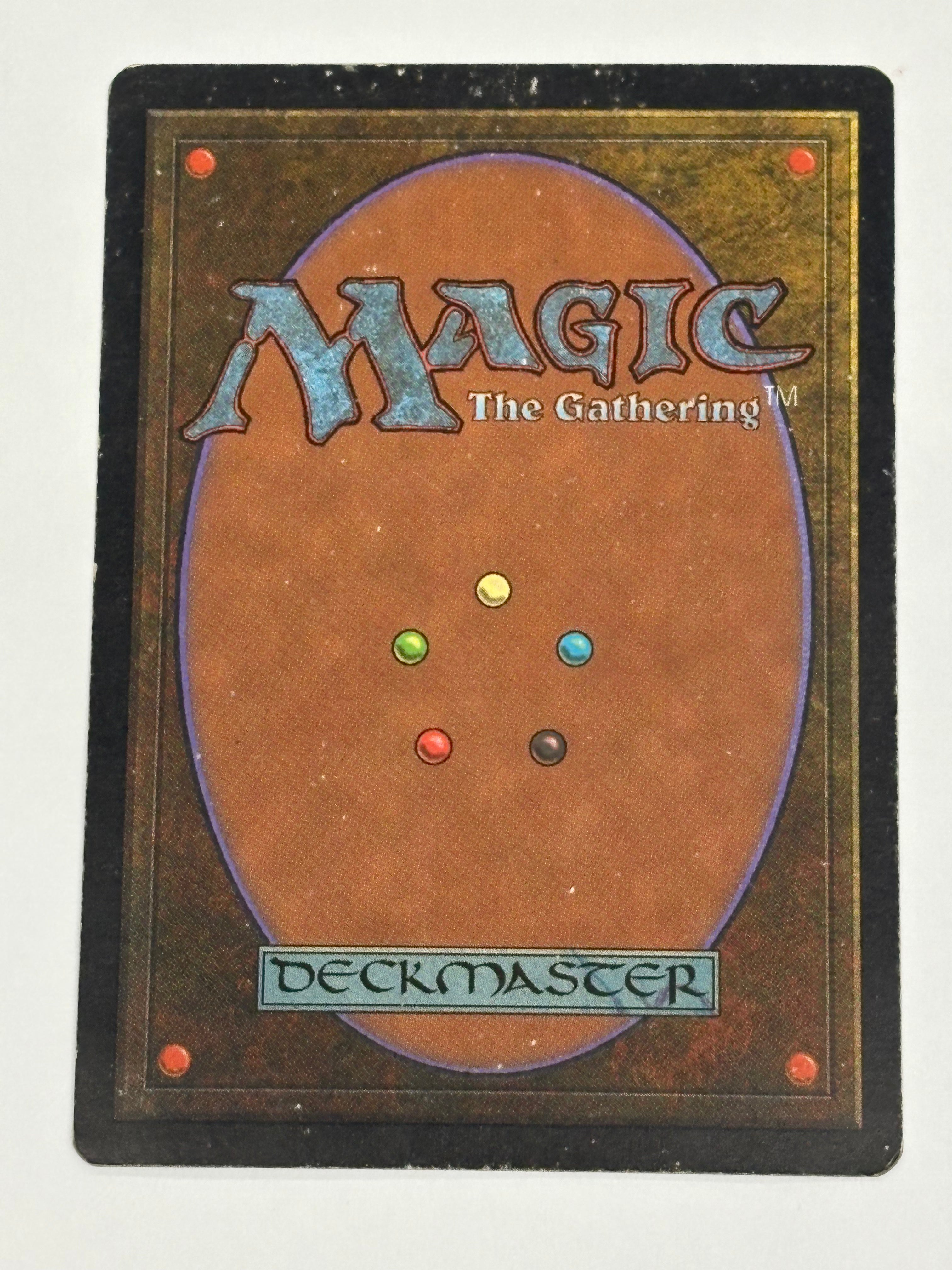 Magic the Gathering TCG - Tempest Wasteland #330 MP